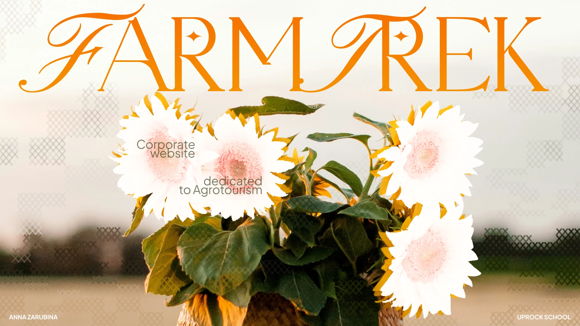 Corporate website dedicated to Agritourism — Изображение №1 — Интерфейсы, Брендинг на Dprofile
