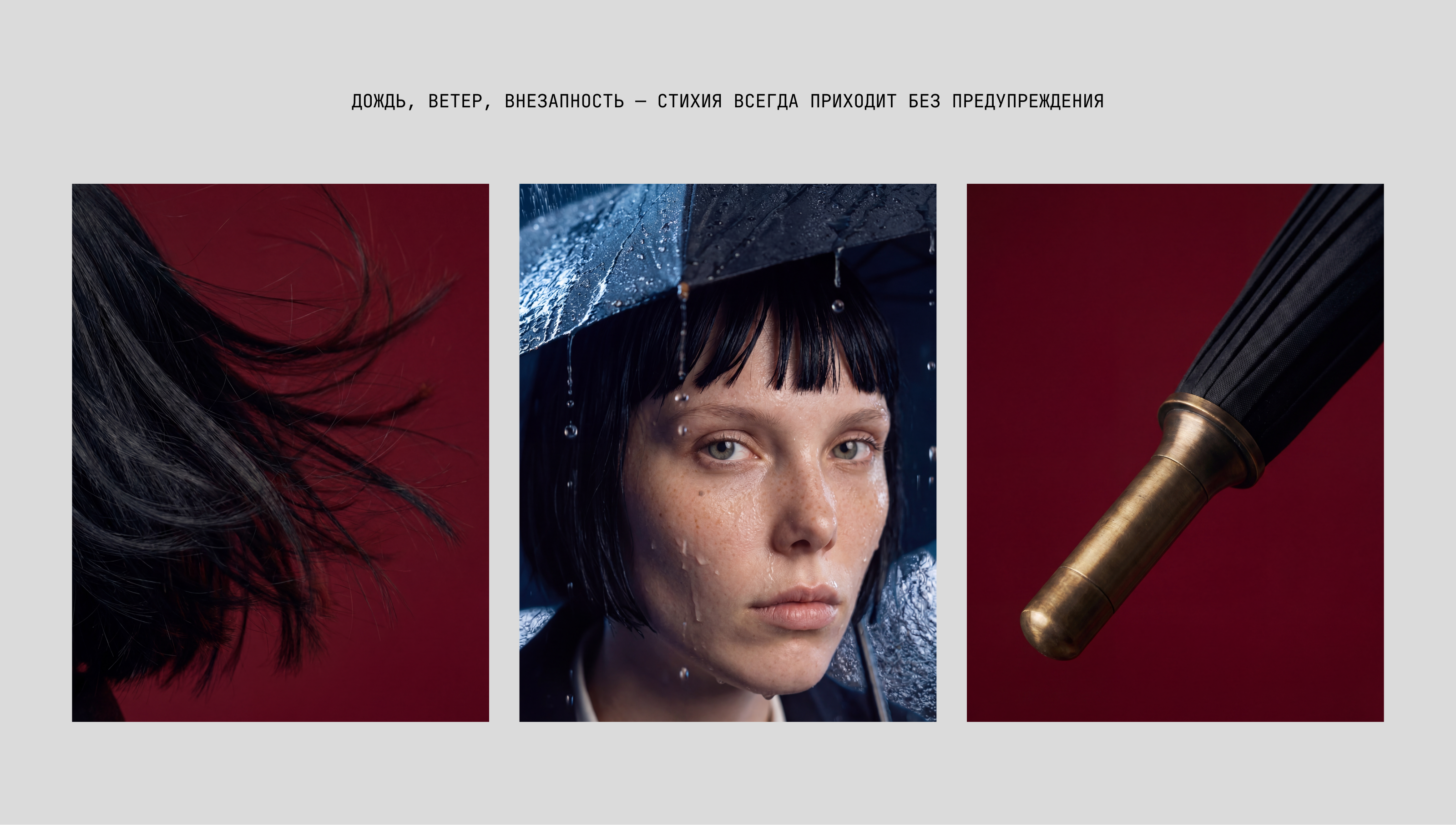 Exclusaro® | В борьбе со стихией — Изображение №4 — Маркетинг, Нейро на Dprofile