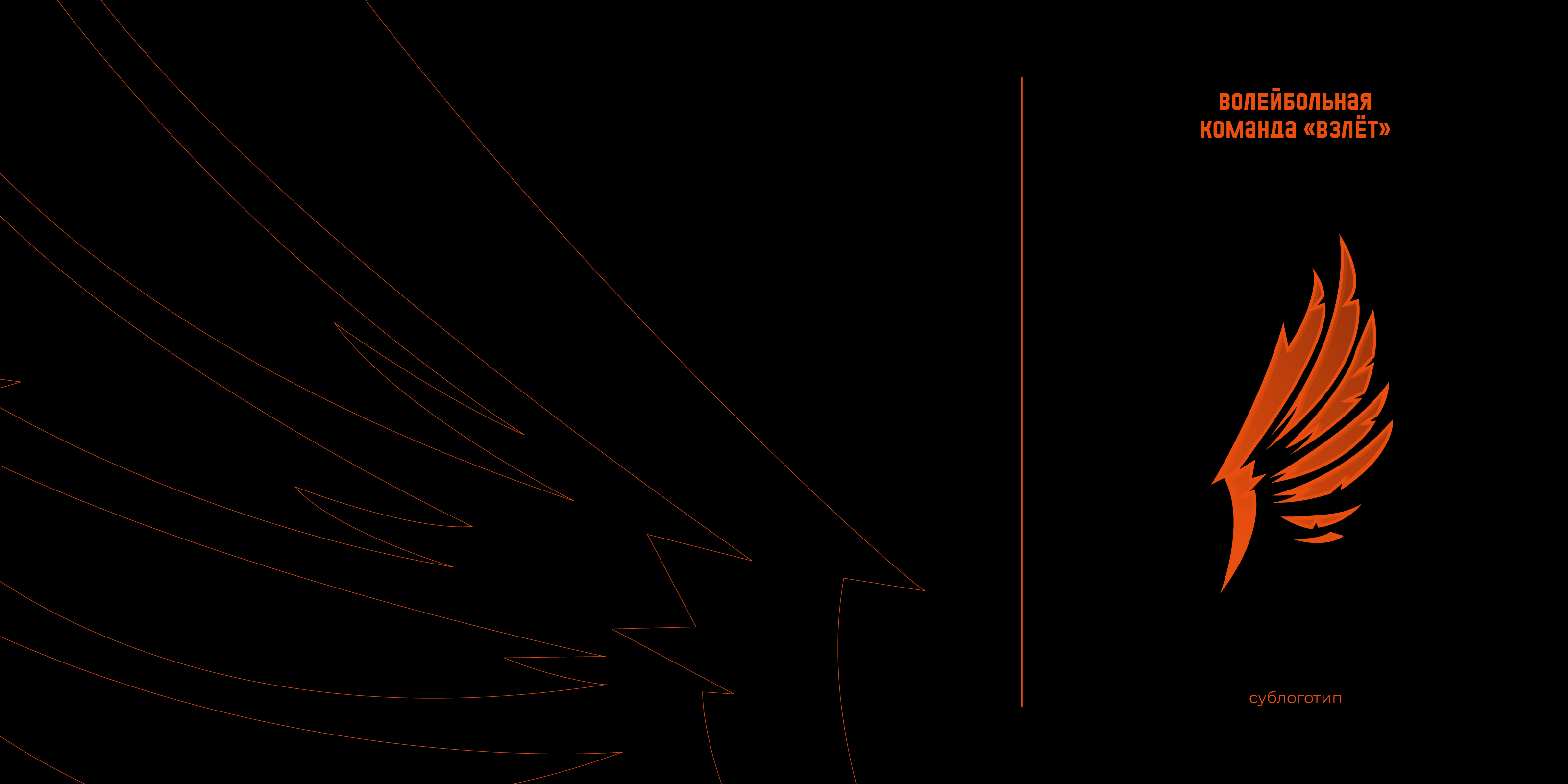 Взлет — Изображение №3 — Брендинг на Dprofile