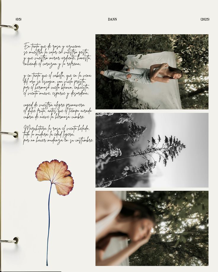 макеты для тг-канала — Изображение №26 — Графика на Dprofile