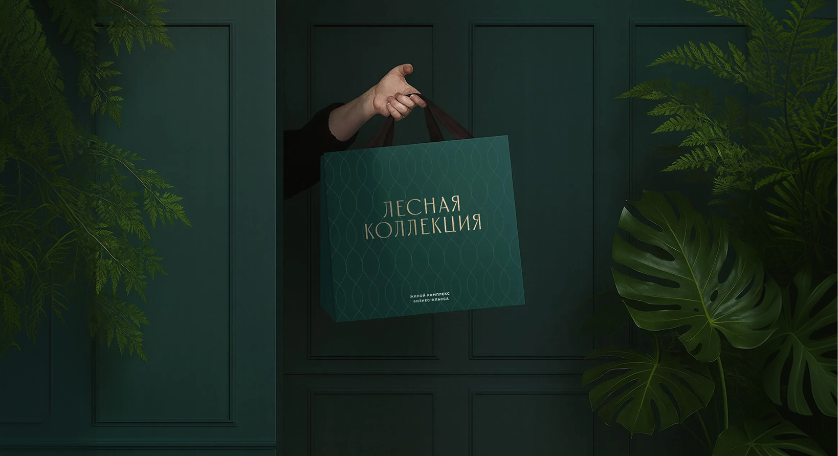 Лесная коллекция — Изображение №3 — Брендинг на Dprofile