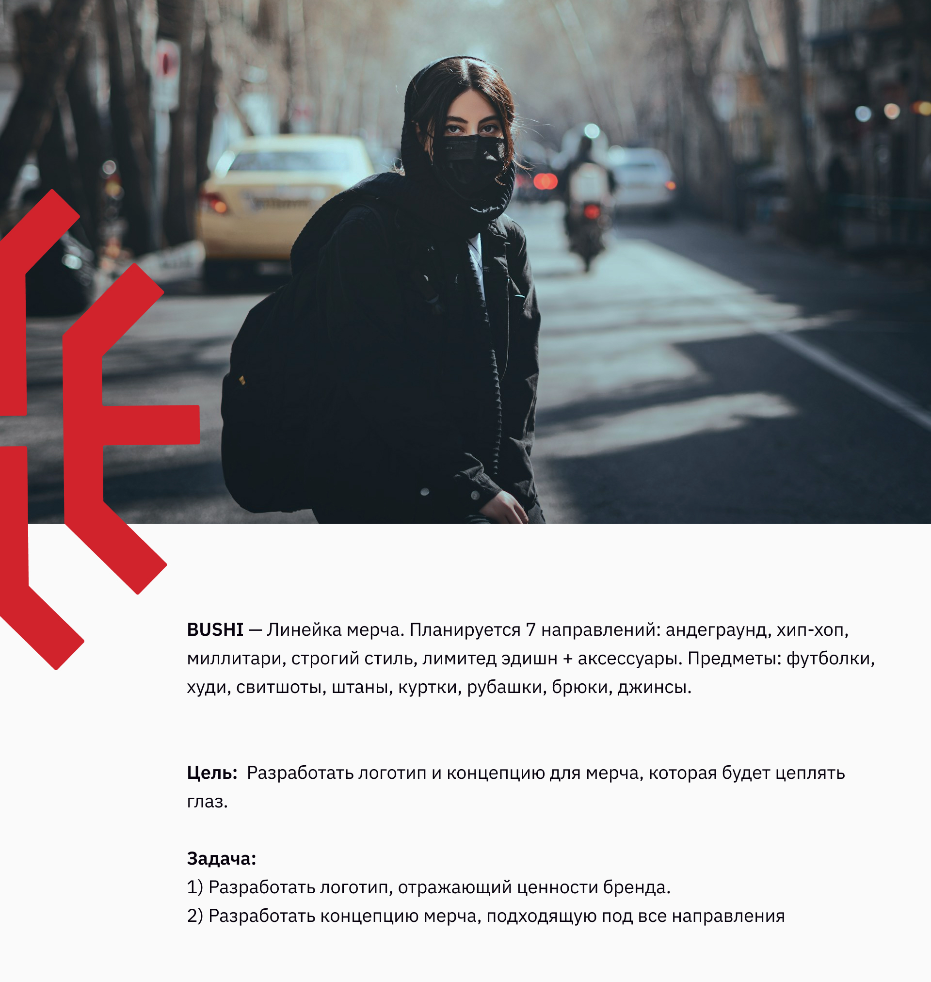 Логотип для линейки мерча BUSHI — Изображение №1 — Брендинг на Dprofile