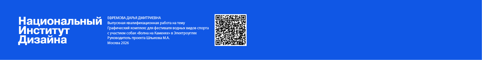 Графический комплекс для фестиваля «Волна на Каменке» — Изображение №24 — Брендинг, Иллюстрация на Dprofile