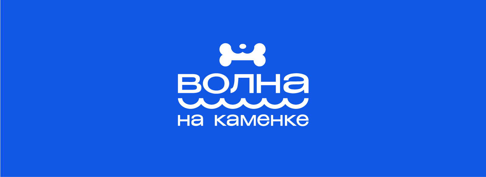 Графический комплекс для фестиваля «Волна на Каменке» — Изображение №1 — Брендинг, Иллюстрация на Dprofile