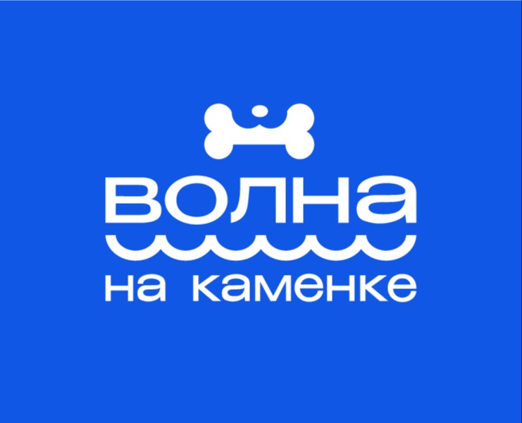 Графический комплекс для фестиваля «Волна на Каменке» — Брендинг, Иллюстрация на Dprofile