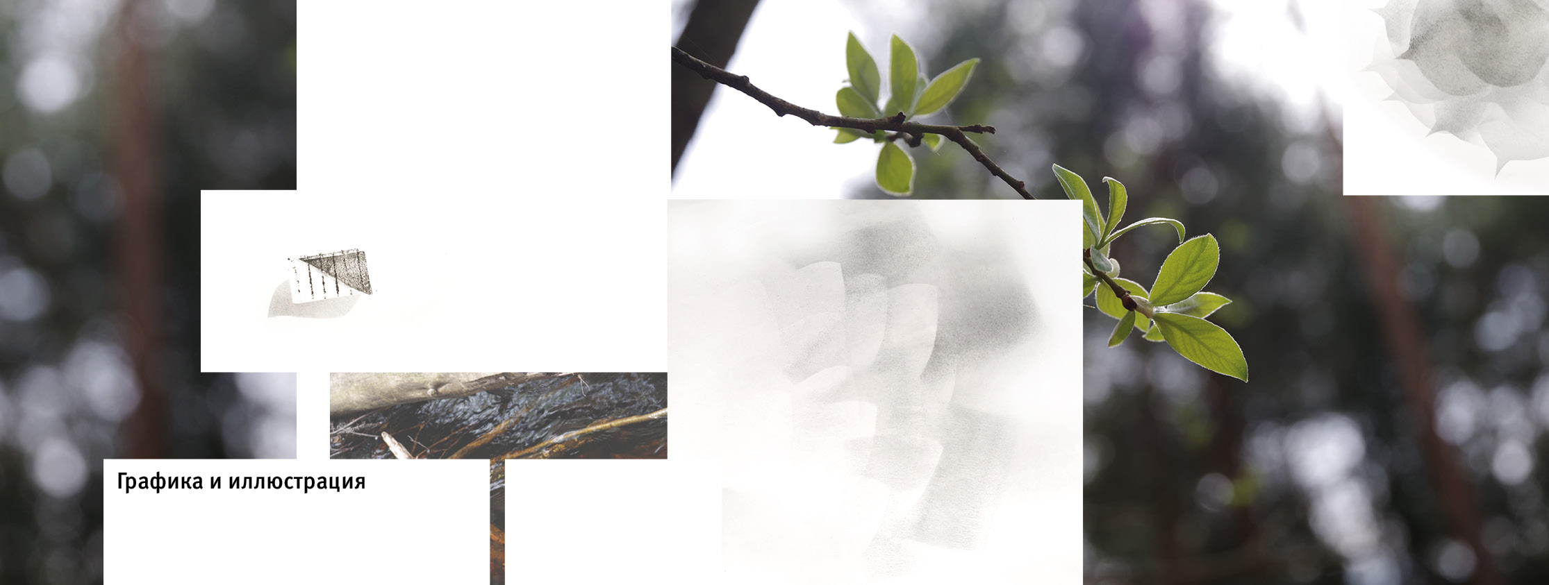 Портфолио — Изображение №17 — Графика на Dprofile