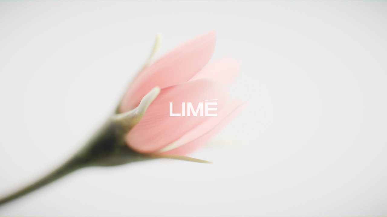 Серьги-пусеты «Цветение розы» от LIME — Изображение №1 — 3D, Анимация на Dprofile