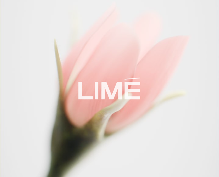 Серьги-пусеты «Цветение розы» от LIME на Dprofile