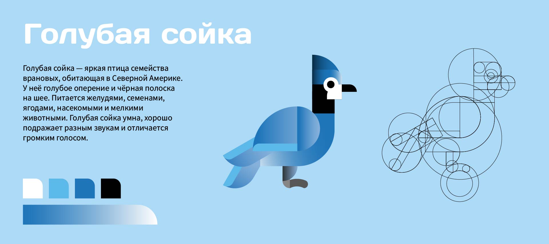 Серия пиктограмм — Изображение №10 — Графика, Анимация на Dprofile