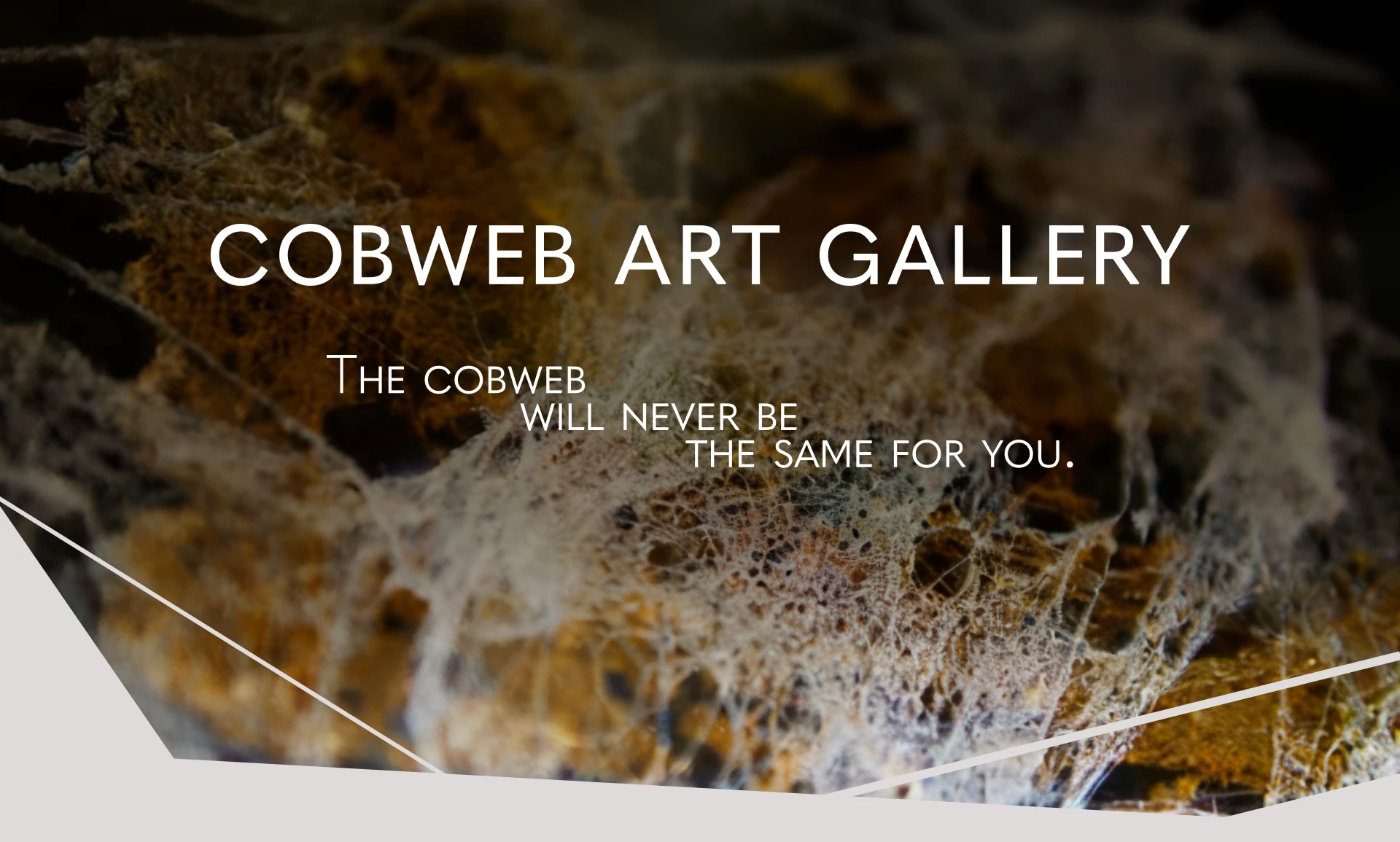 Cobweb Art Gallery | Фирменный стиль — Изображение №1 — Брендинг на Dprofile