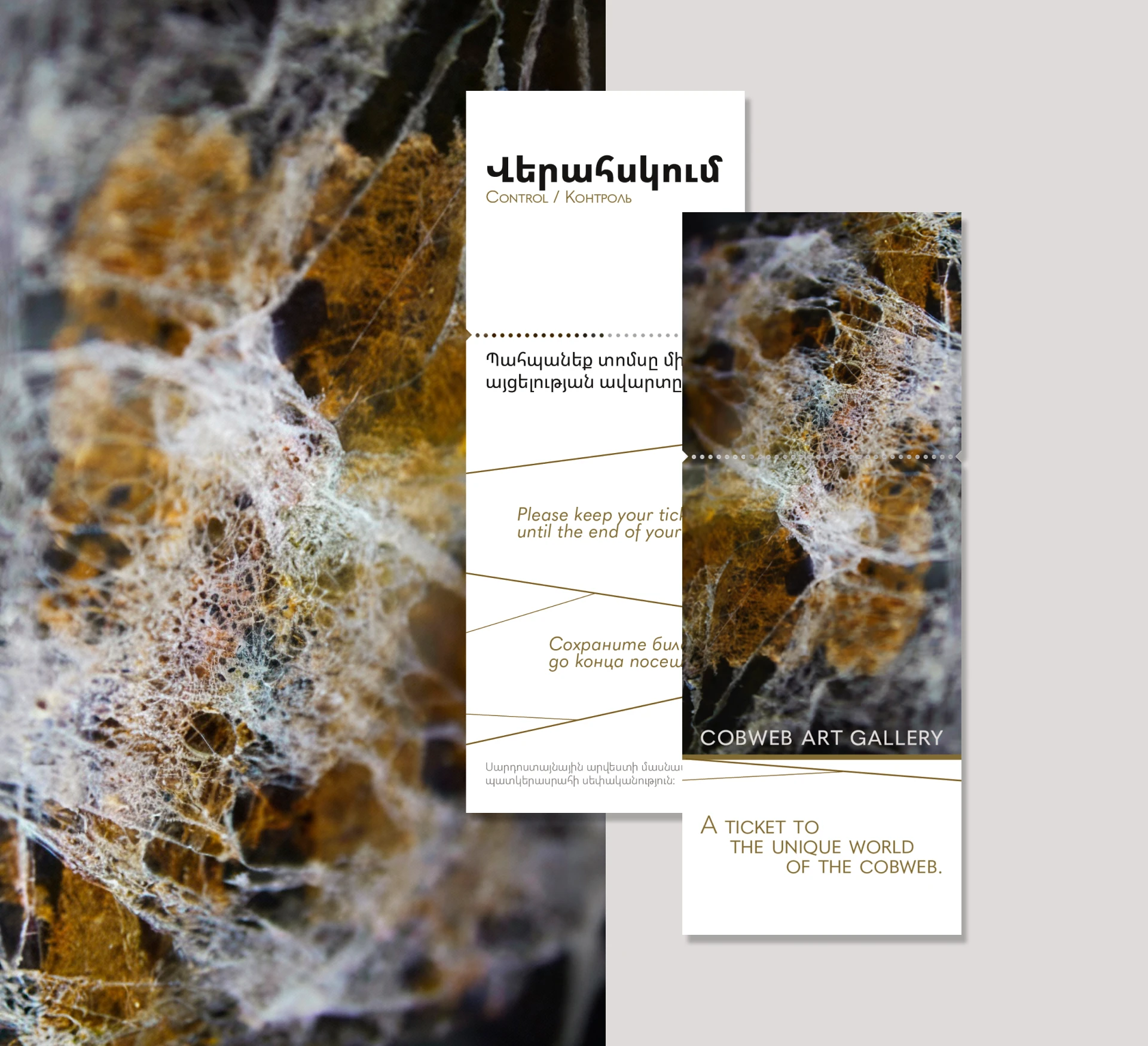 Cobweb Art Gallery | Фирменный стиль — Изображение №14 — Брендинг на Dprofile