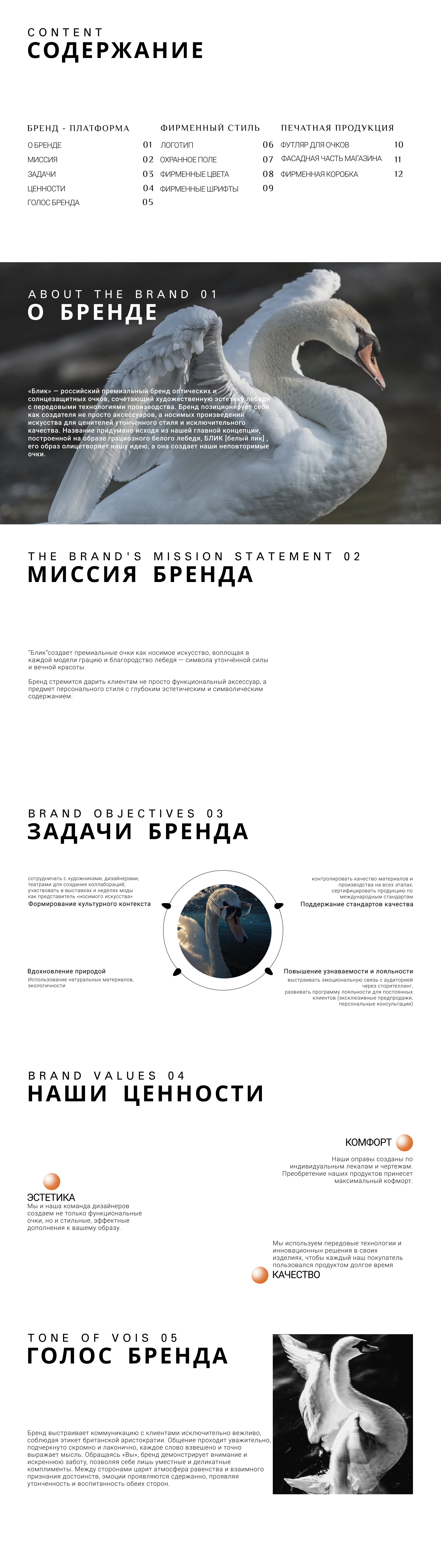 BLIK - premium optics — Изображение №1 — Брендинг на Dprofile