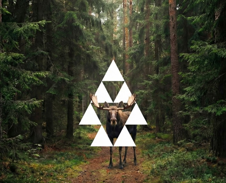 "БОР" - ресторан Русской кухни на Dprofile