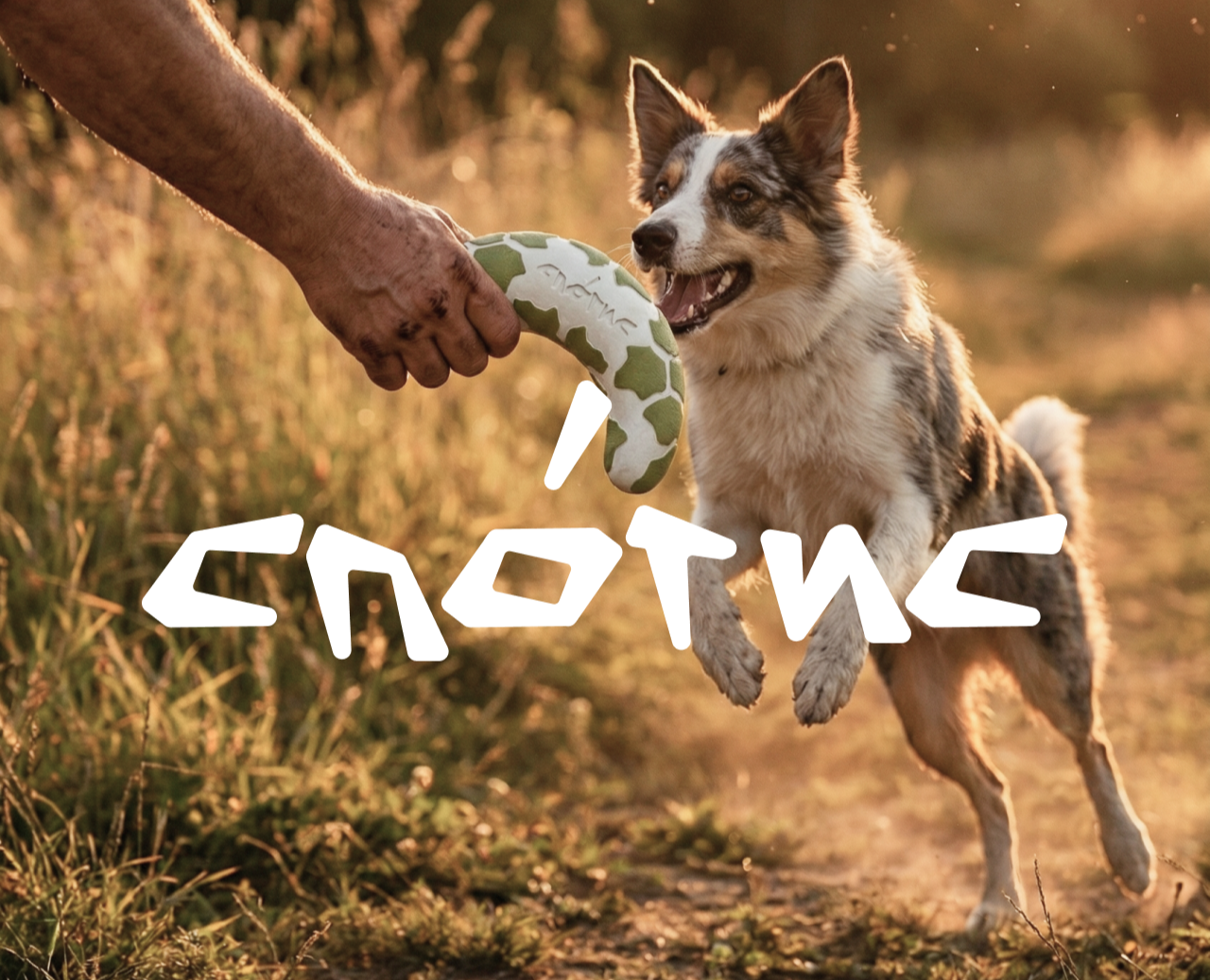 Спотис — Брендинг на Dprofile