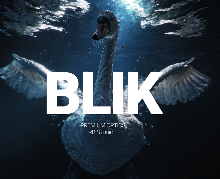 BLIK - premium optics — Брендинг на Dprofile