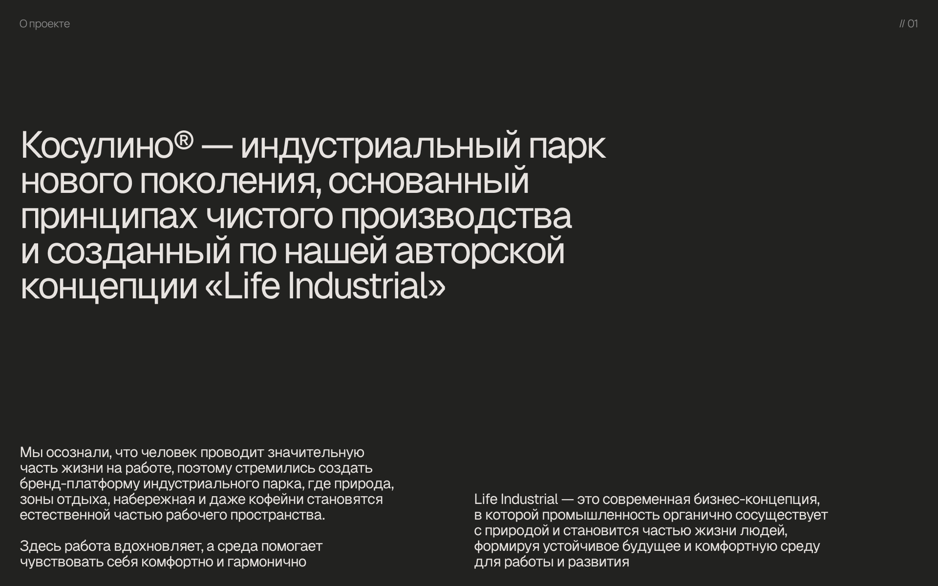 Косулино® Индустриальный парк — Изображение №1 — Интерфейсы, Брендинг на Dprofile