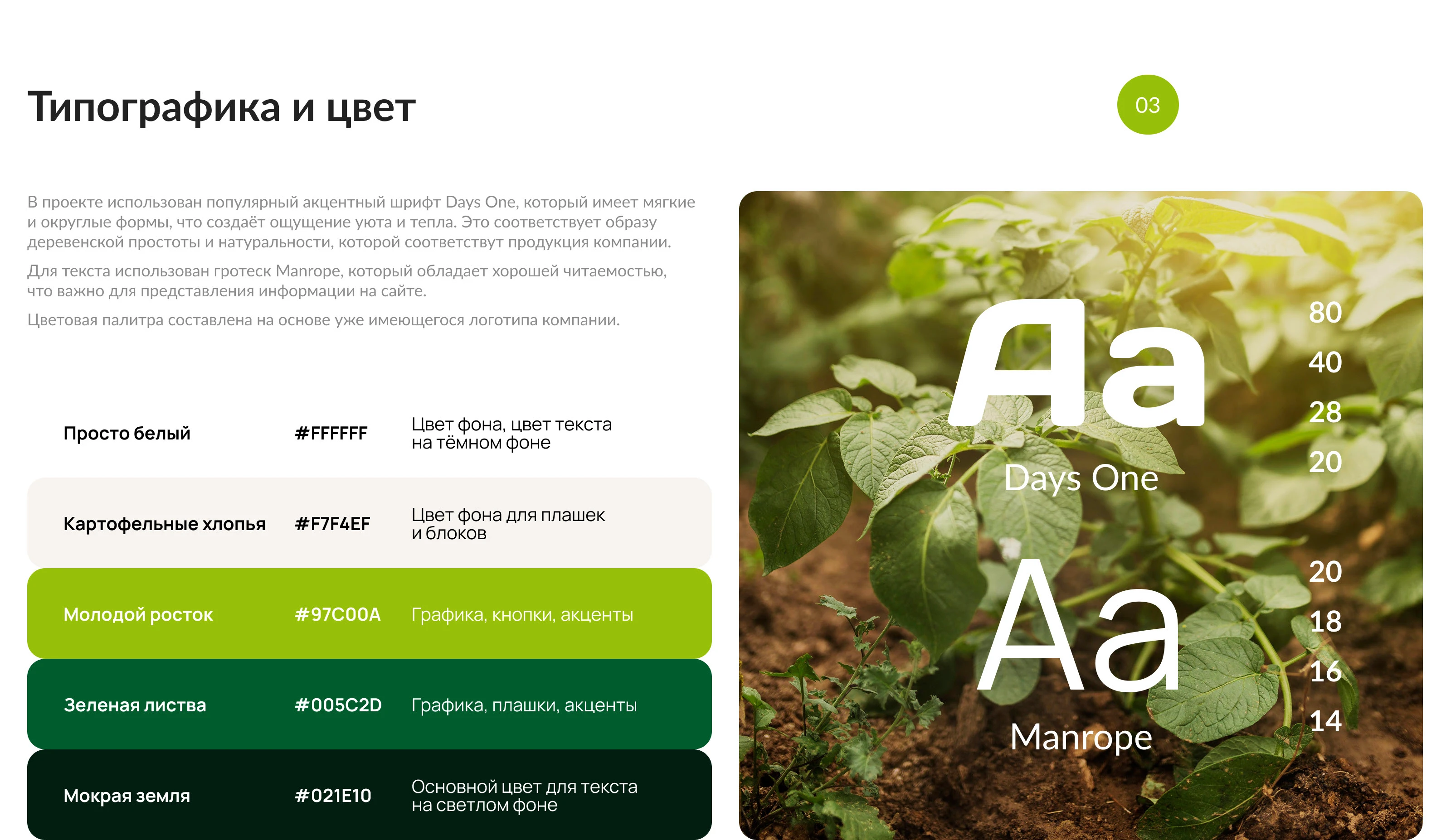 Корпоративный сайт для производителя картофельных хлопьев — Изображение №6 — Интерфейсы на Dprofile