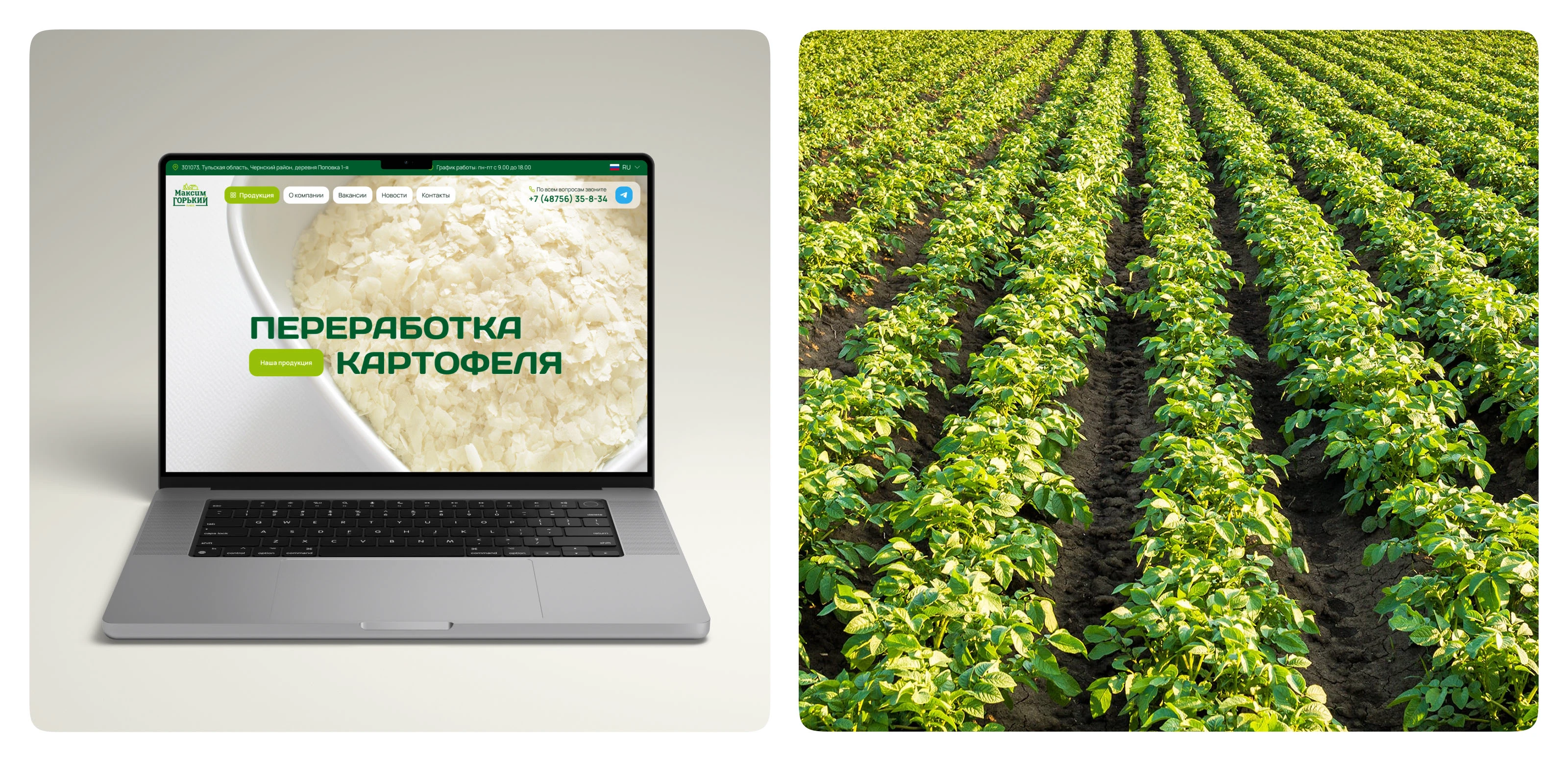 Корпоративный сайт для производителя картофельных хлопьев — Изображение №3 — Интерфейсы на Dprofile