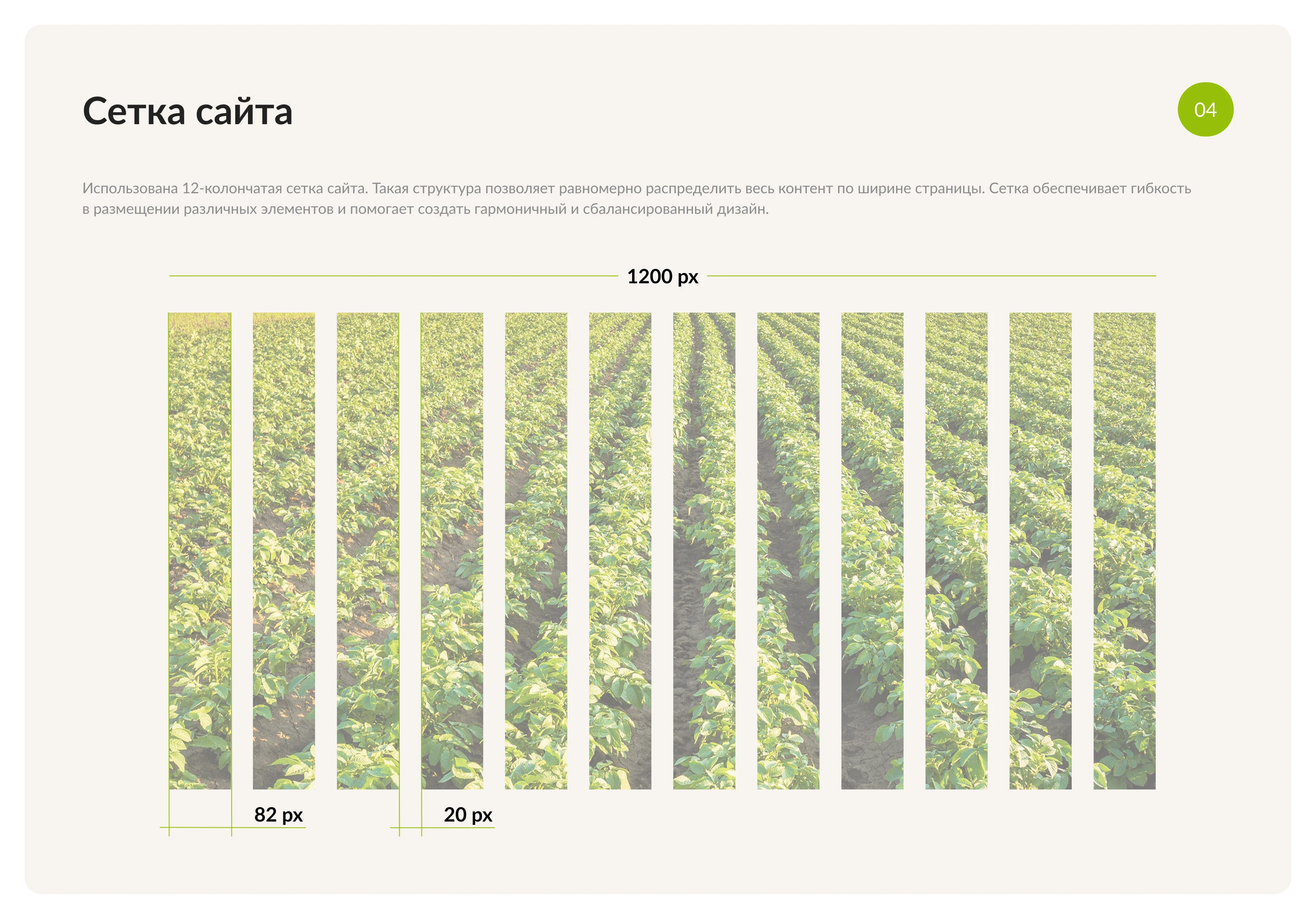 Корпоративный сайт для производителя картофельных хлопьев — Изображение №7 — Интерфейсы на Dprofile