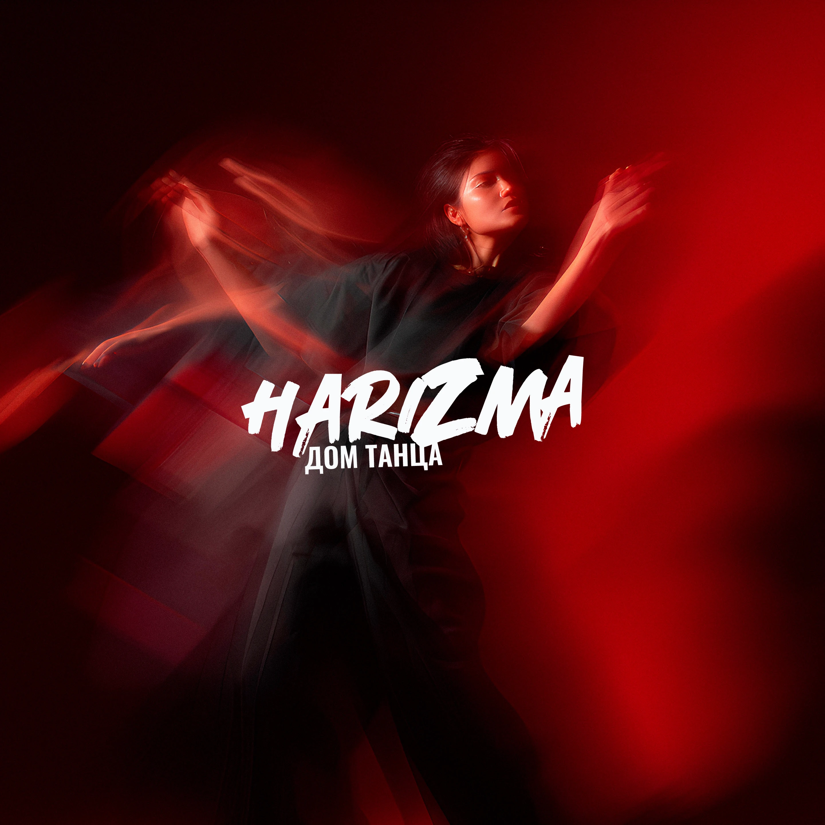Harizma. Фирменный стиль для школы танцев — Изображение №1 — Брендинг на Dprofile