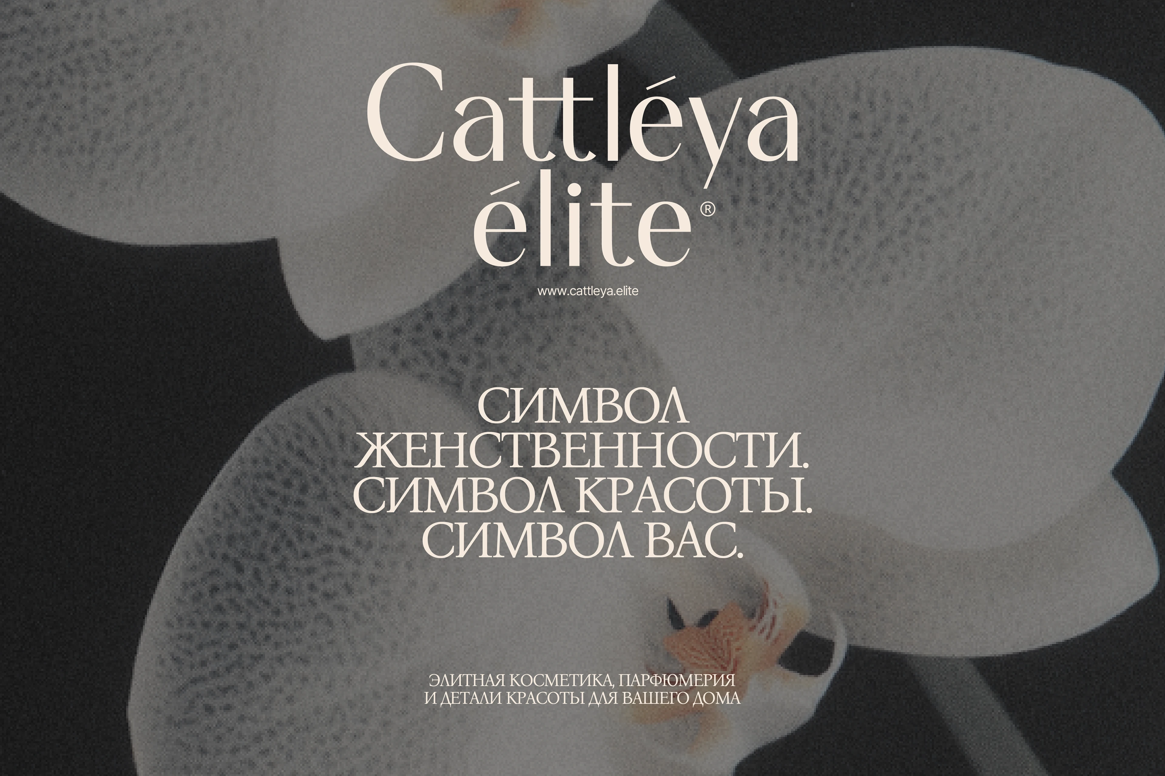 Cattleya Elite: Нейминг Фирменный стиль Сайт Косметика — Изображение №10 — Интерфейсы, Брендинг на Dprofile