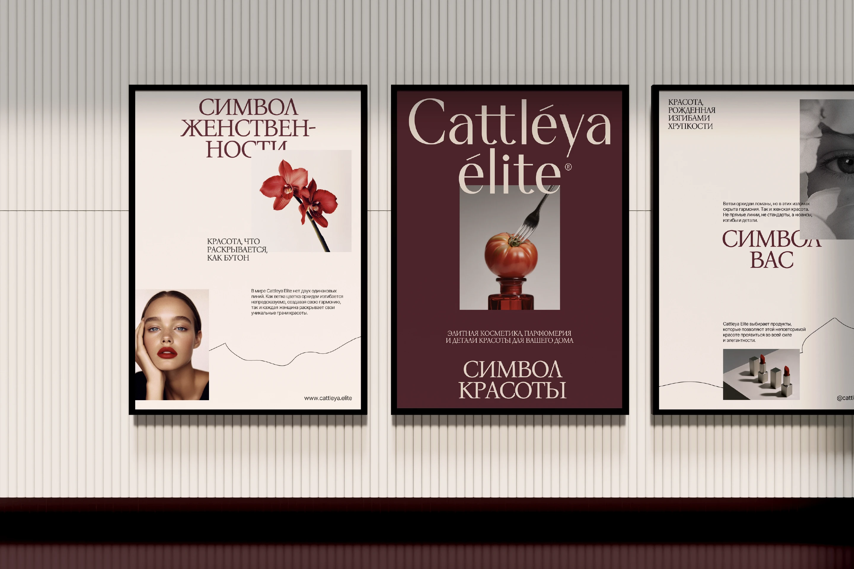 Cattleya Elite: Нейминг Фирменный стиль Сайт Косметика — Изображение №11 — Интерфейсы, Брендинг на Dprofile