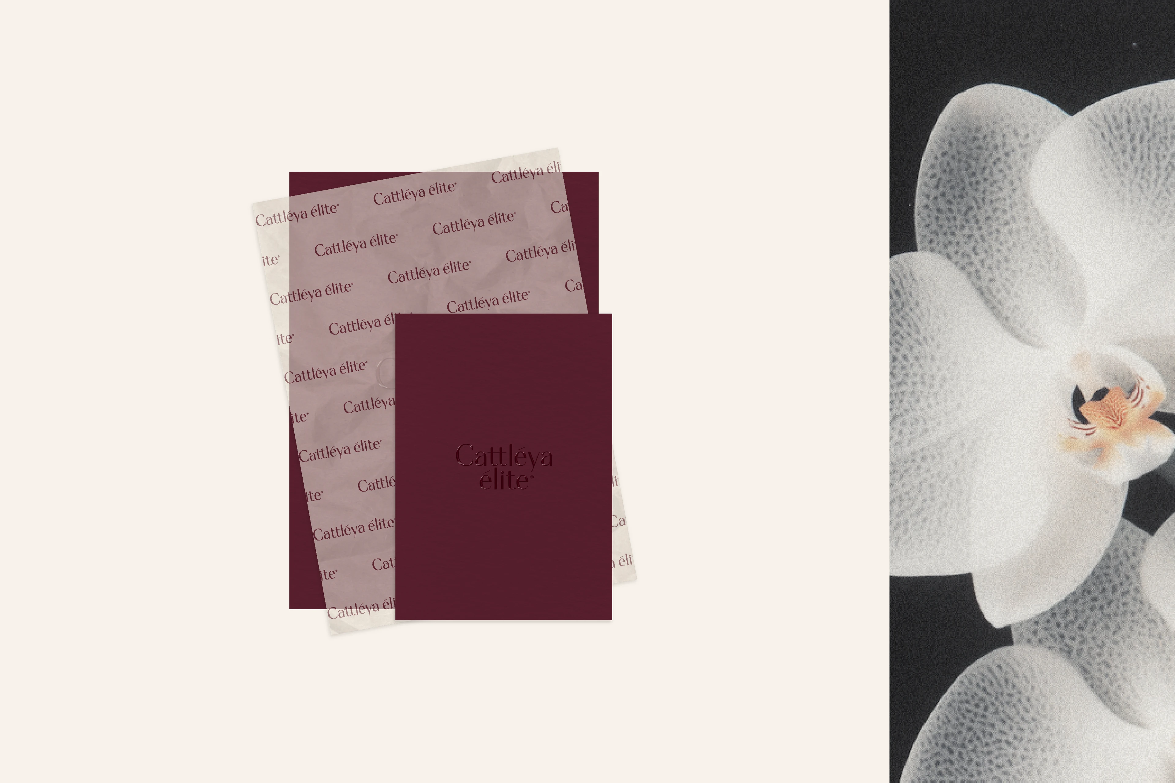 Cattleya Elite: Нейминг Фирменный стиль Сайт Косметика — Изображение №17 — Интерфейсы, Брендинг на Dprofile