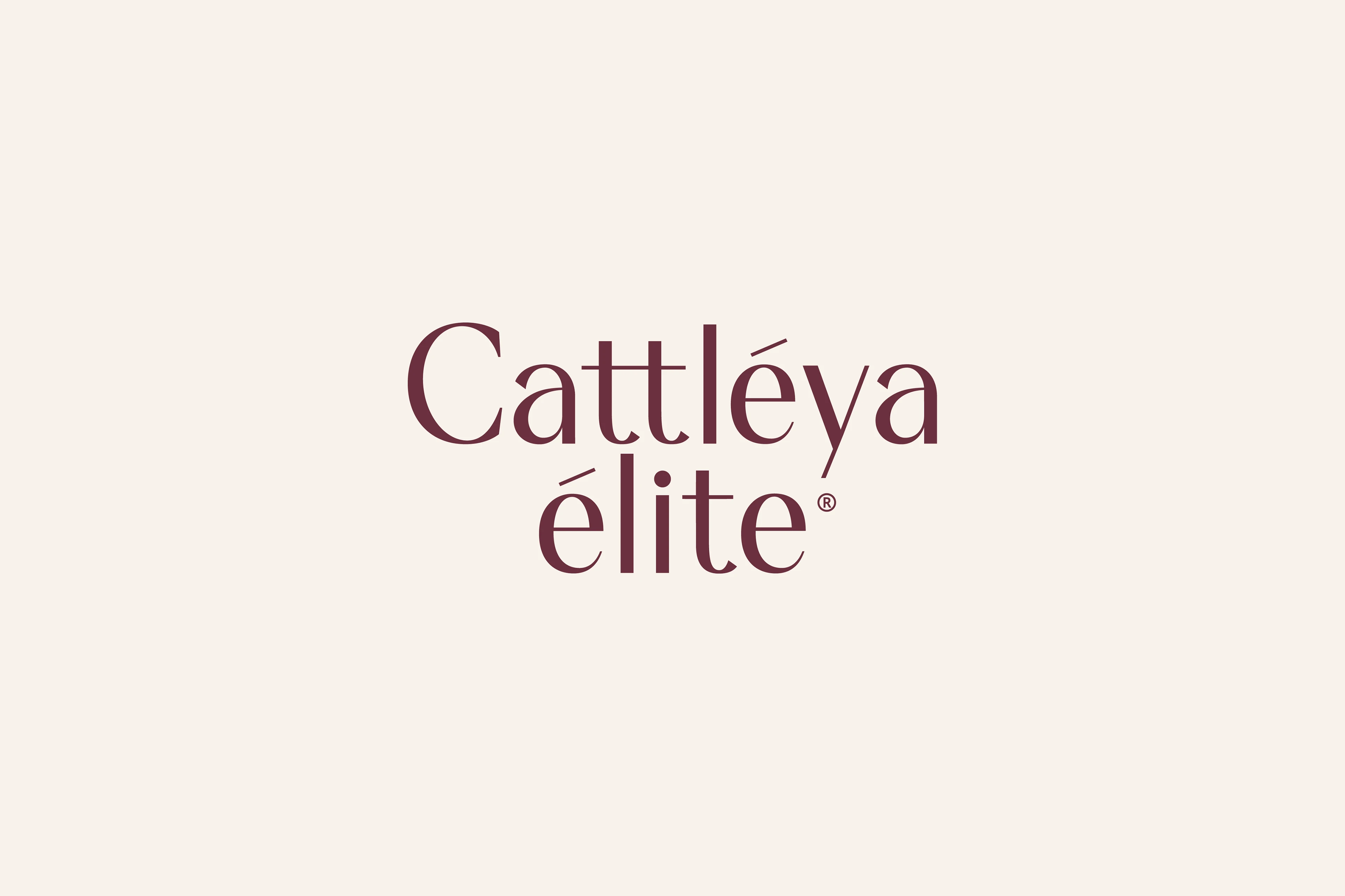 Cattleya Elite: Нейминг Фирменный стиль Сайт Косметика — Изображение №3 — Интерфейсы, Брендинг на Dprofile