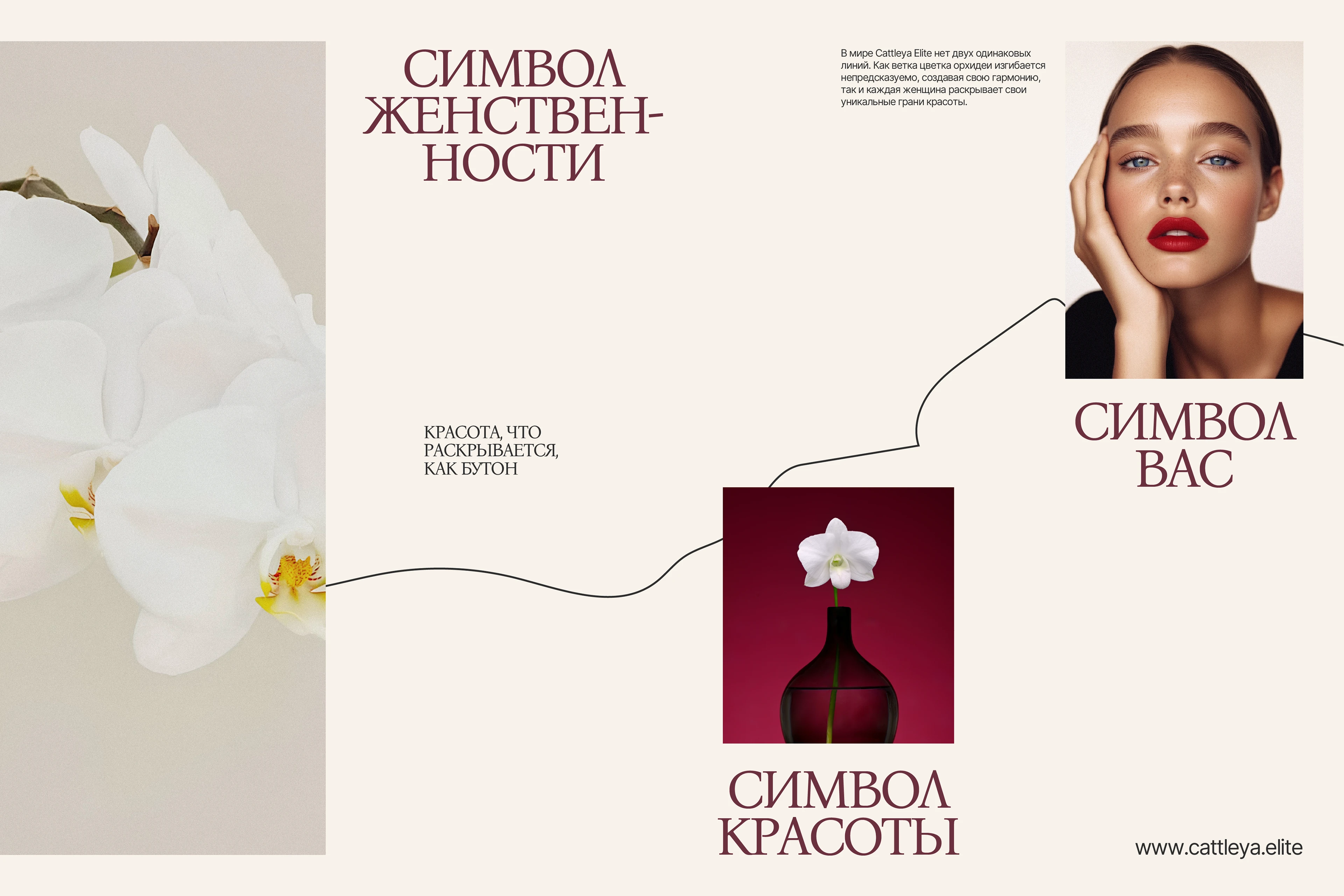 Cattleya Elite: Нейминг Фирменный стиль Сайт Косметика — Изображение №13 — Интерфейсы, Брендинг на Dprofile