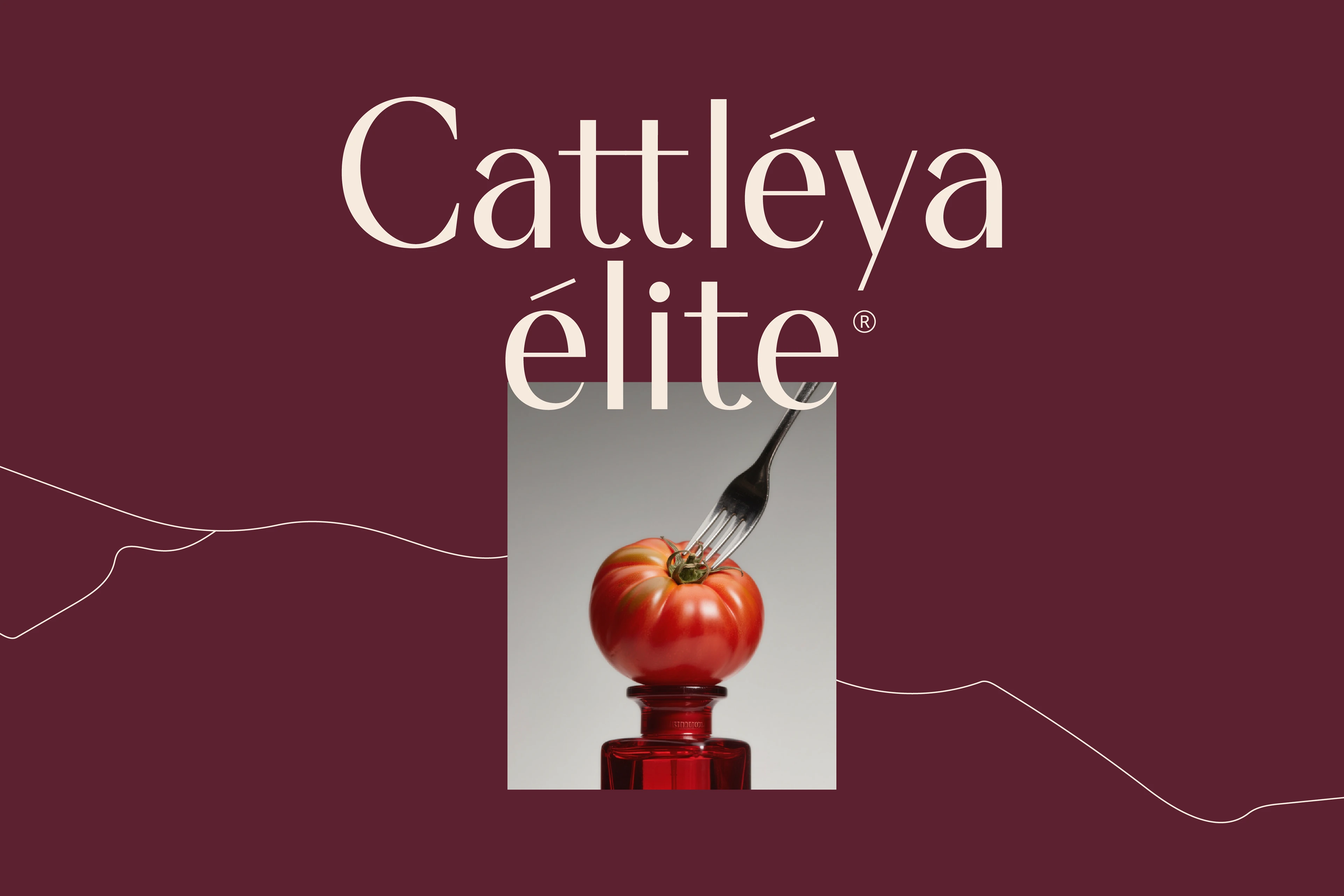 Cattleya Elite: Нейминг Фирменный стиль Сайт Косметика — Изображение №1 — Интерфейсы, Брендинг на Dprofile