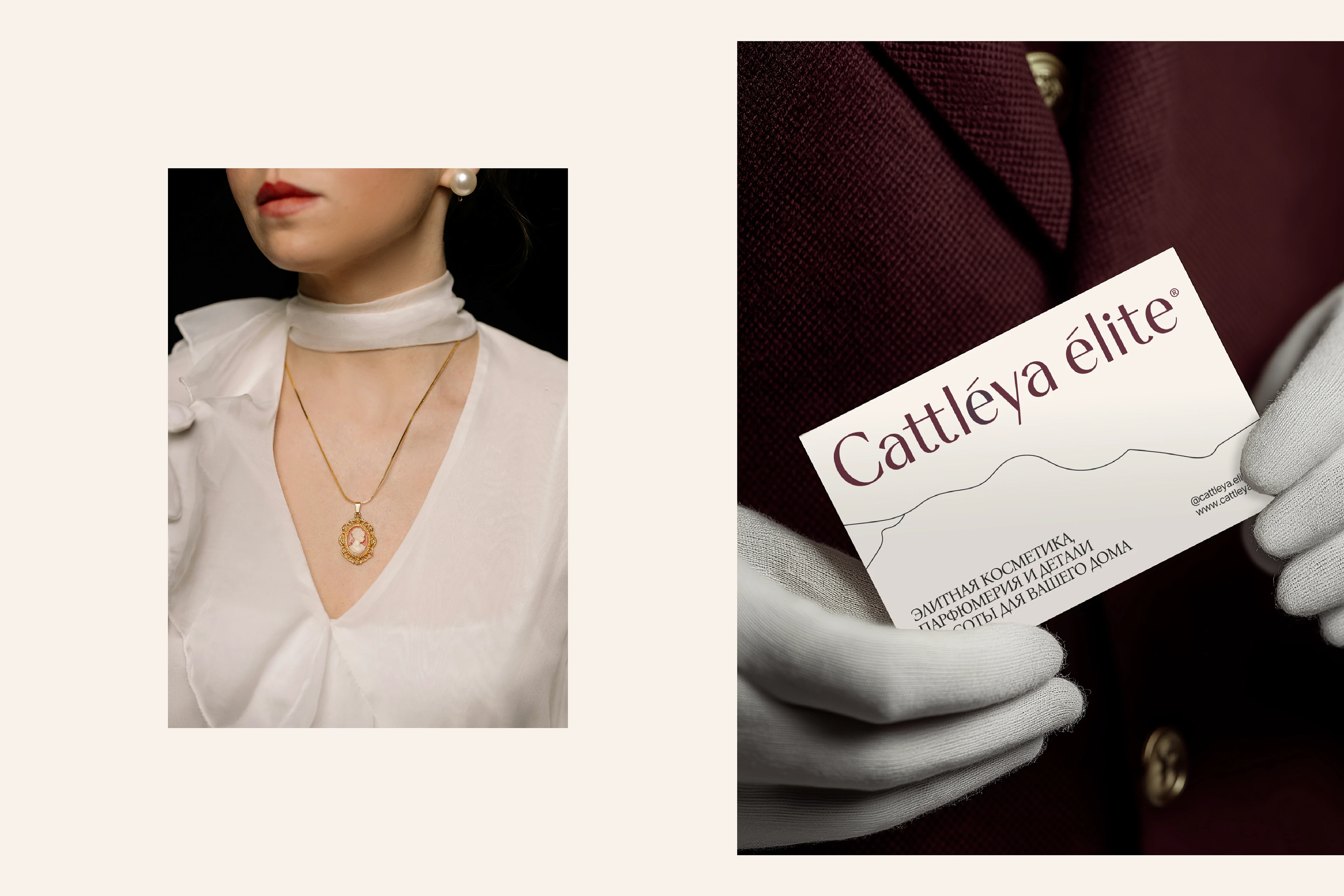 Cattleya Elite: Нейминг Фирменный стиль Сайт Косметика — Изображение №12 — Интерфейсы, Брендинг на Dprofile