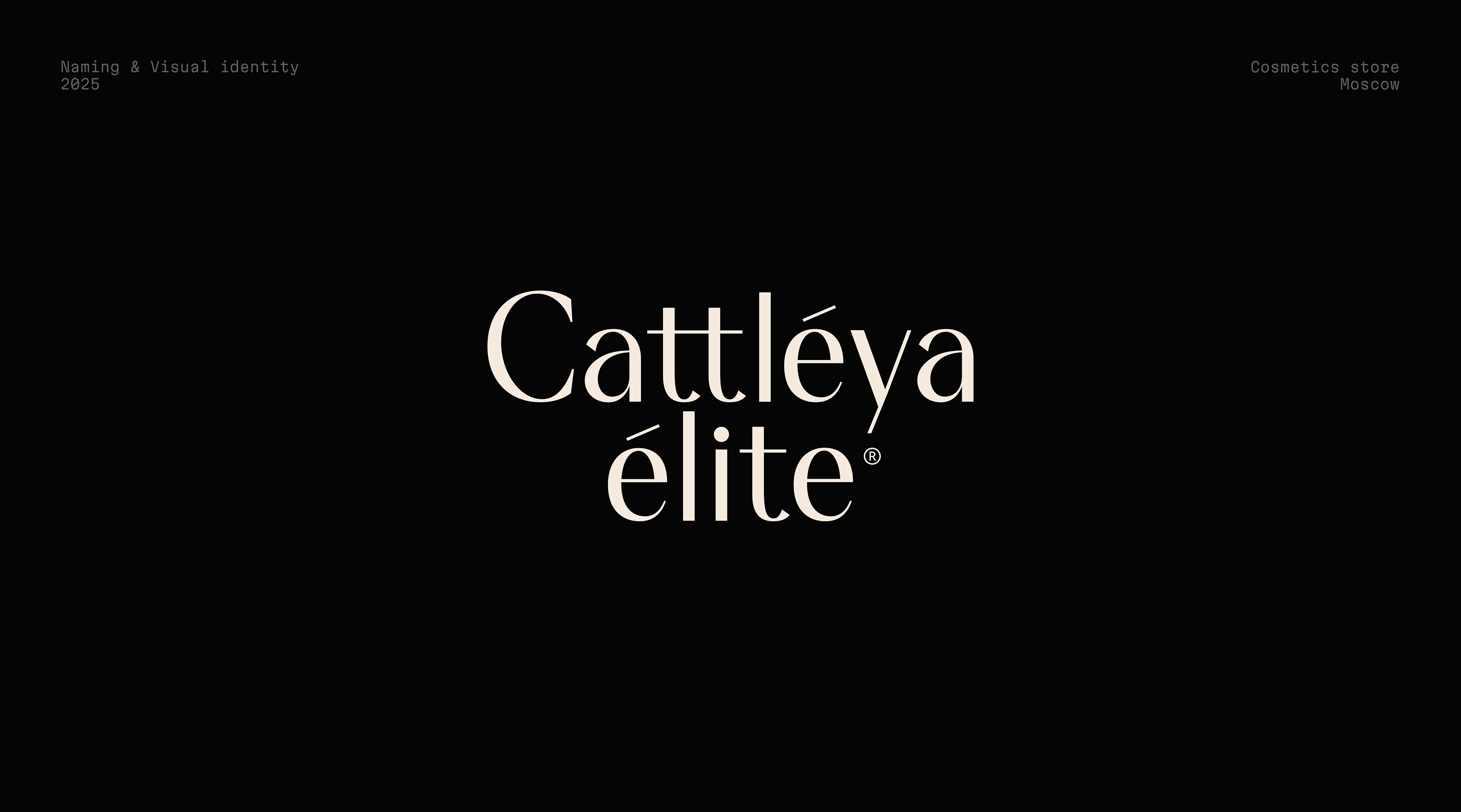 Логотип Фирменный стиль Брендинг Logofolio Logos — Изображение №24 — Брендинг на Dprofile