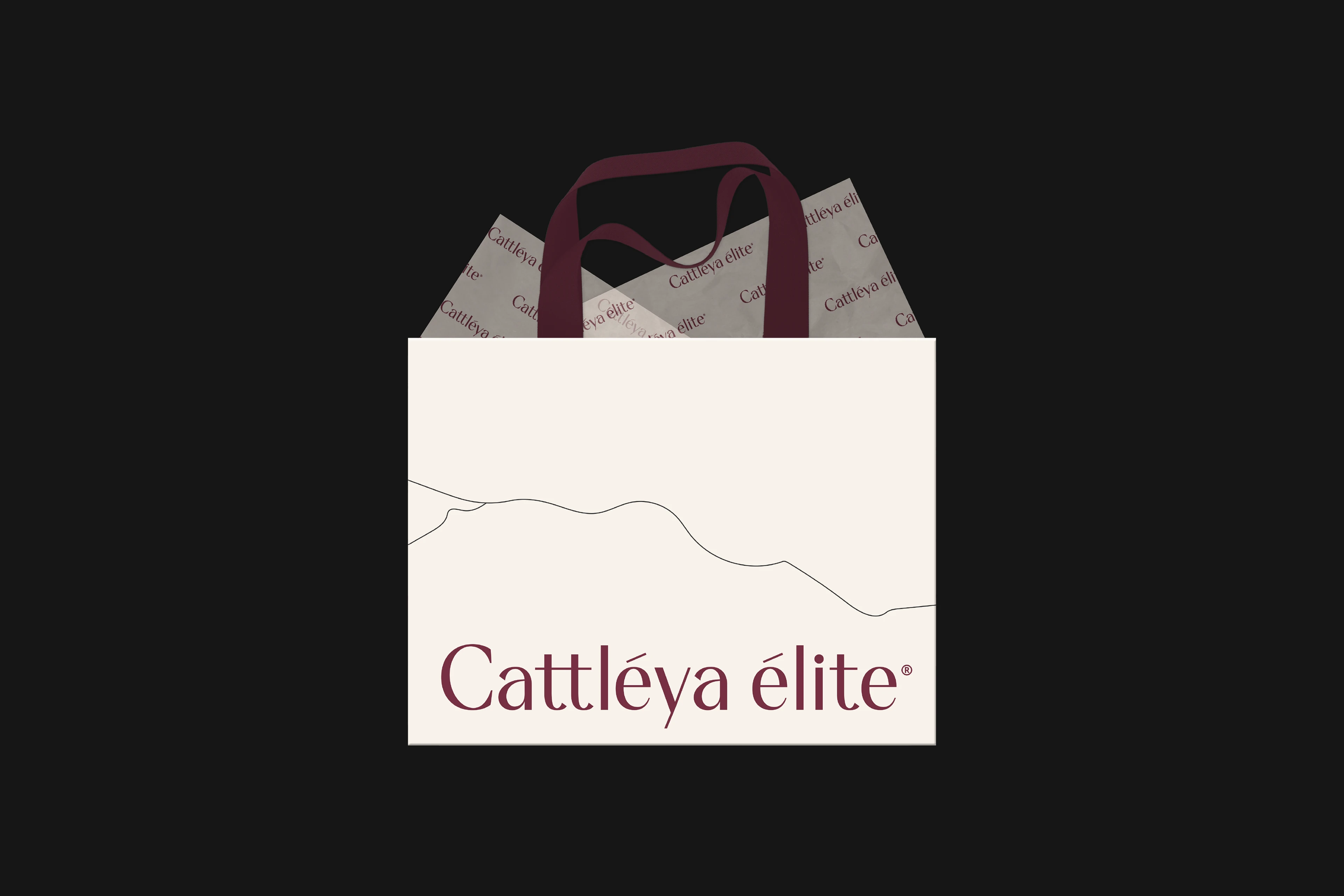 Cattleya Elite: Нейминг Фирменный стиль Сайт Косметика — Изображение №16 — Интерфейсы, Брендинг на Dprofile