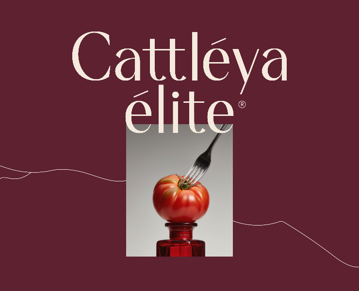 Cattleya Elite: Нейминг Фирменный стиль Сайт Косметика — Интерфейсы, Брендинг на Dprofile