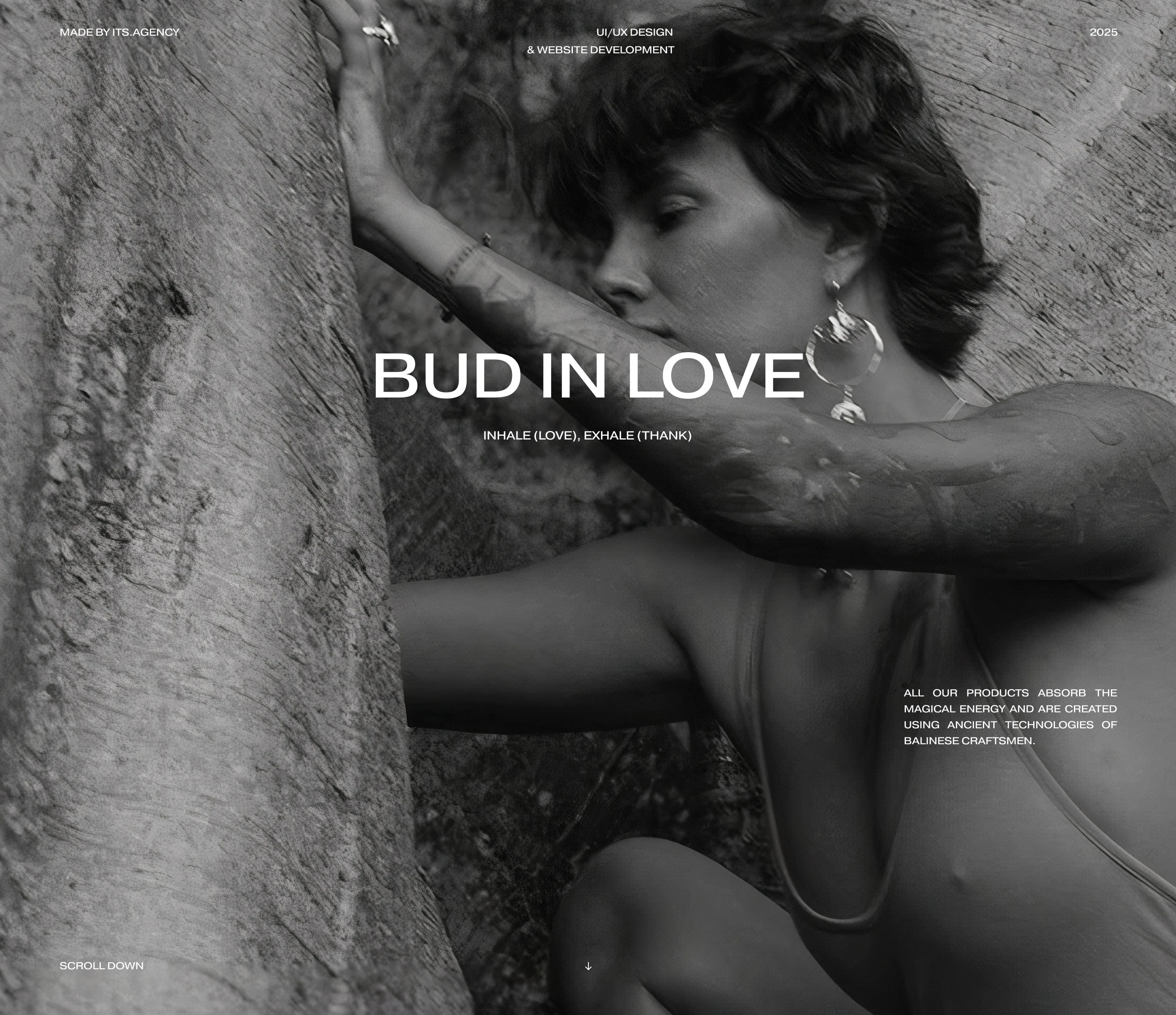 Bud in love — Изображение №1 — Интерфейсы на Dprofile
