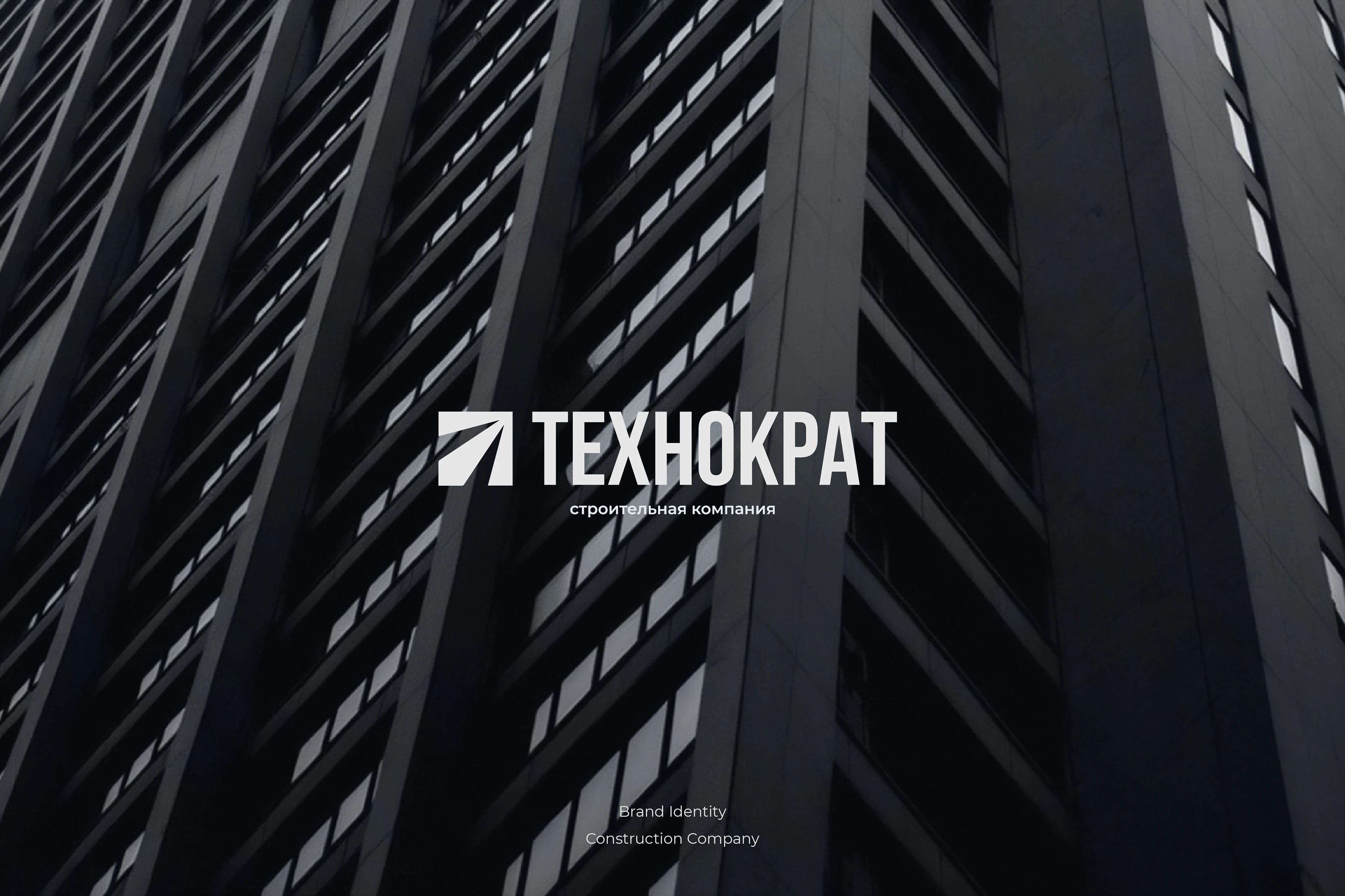 ТЕХНОКРАТ — айдентика строительной компании — Изображение №1 — Брендинг, Маркетинг на Dprofile