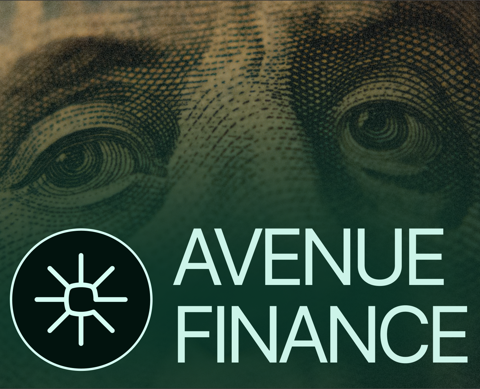 Avenue Finance — B2B Finance Platform на Dprofile