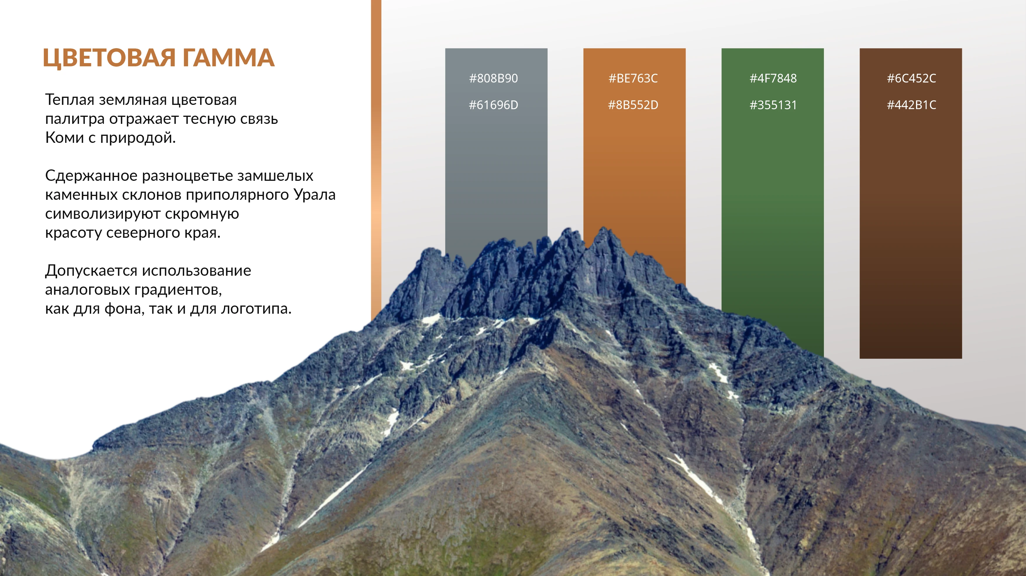 КОМИ продуктовая линейка — Изображение №5 — Брендинг на Dprofile