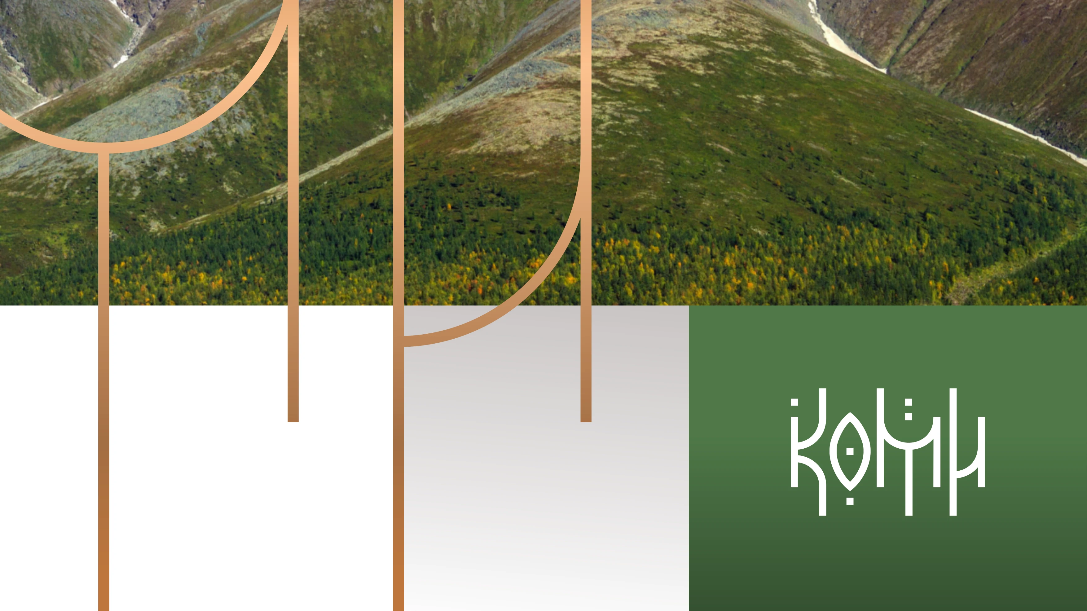 КОМИ продуктовая линейка — Изображение №6 — Брендинг на Dprofile