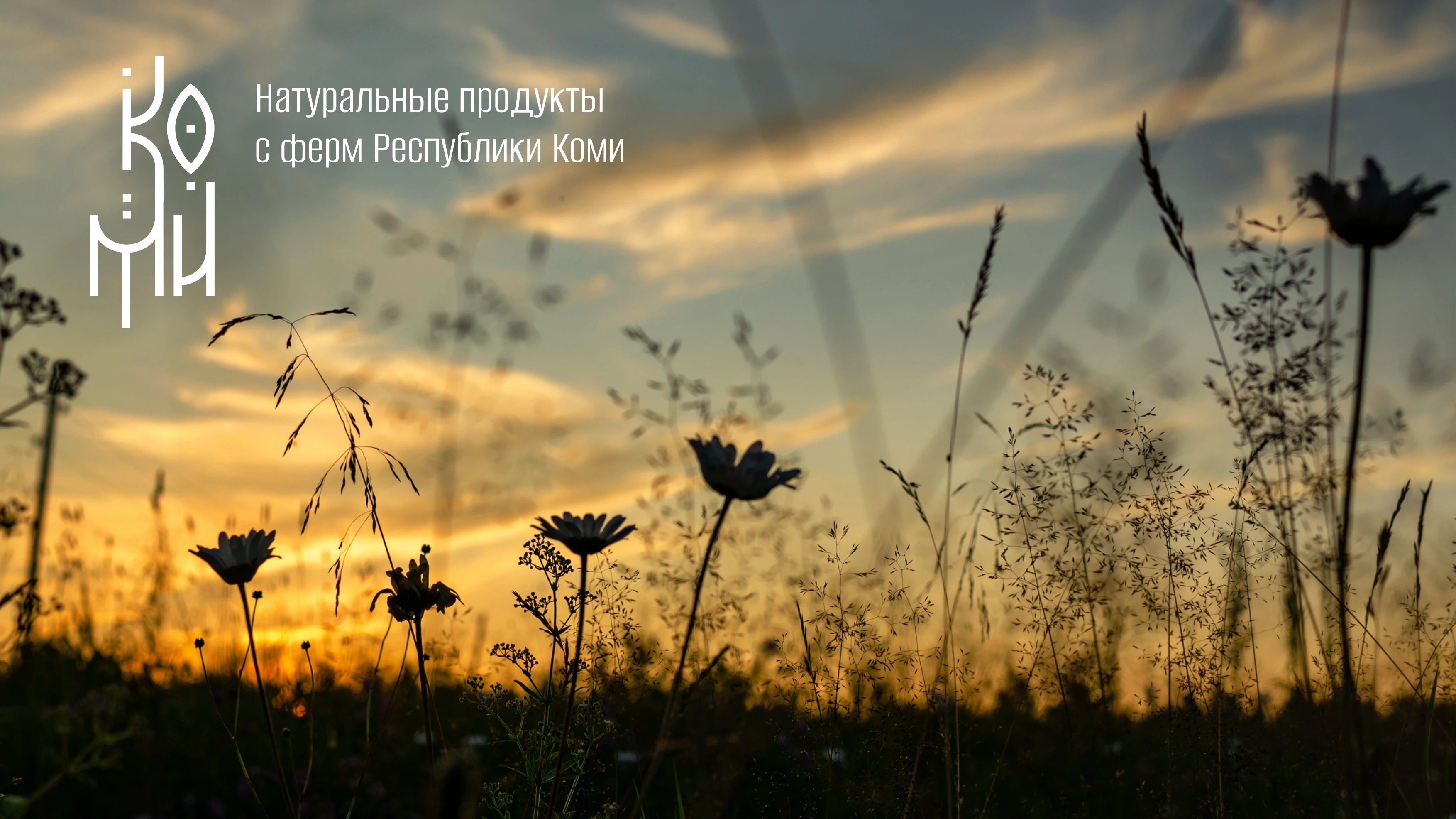 КОМИ продуктовая линейка — Изображение №24 — Брендинг на Dprofile