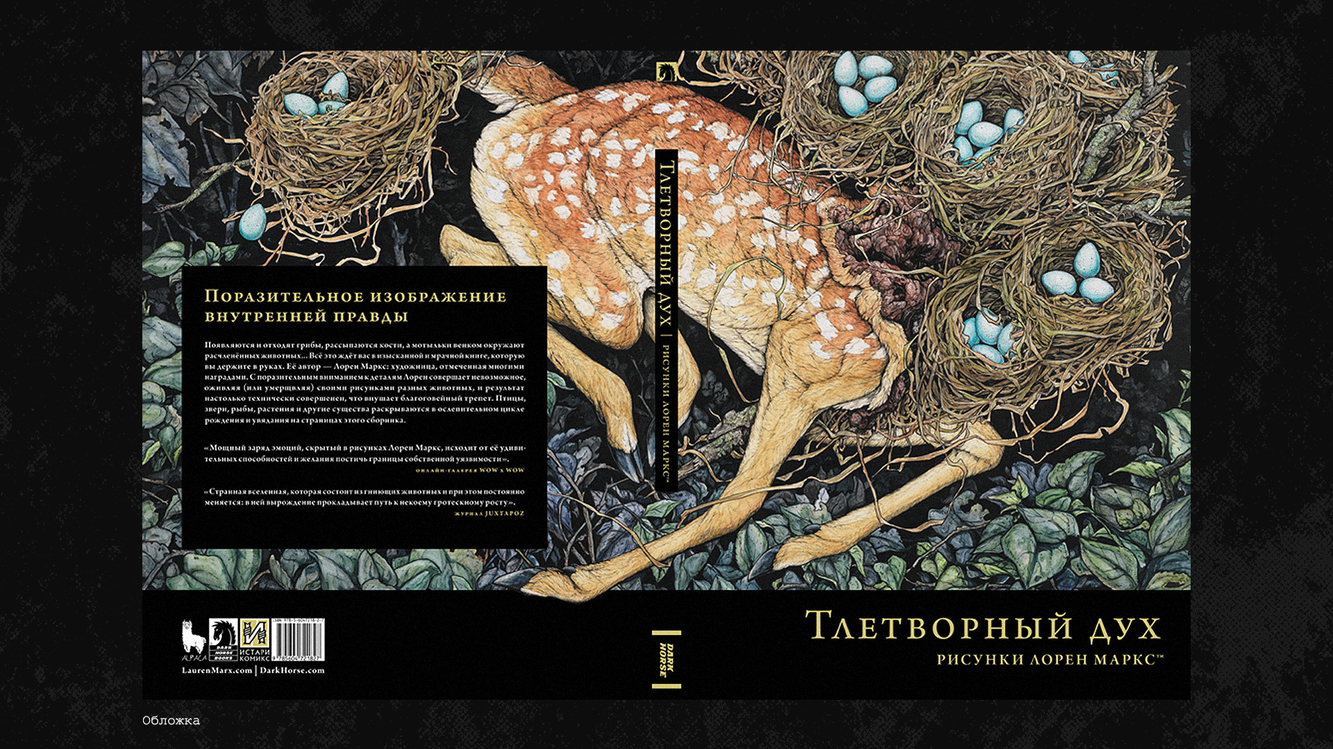 Локализация комиксов (леттеринг, верстка, дизайн) — Изображение №24 — Брендинг, Графика на Dprofile