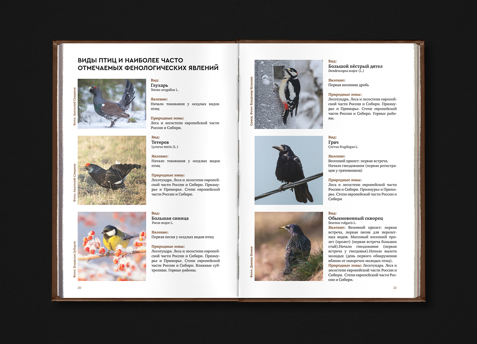 Book Design. 2021-2024 — Изображение №35 — Графика на Dprofile