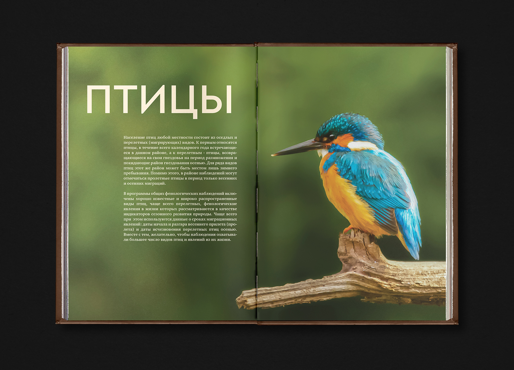 Book Design. 2021-2024 — Изображение №32 — Графика на Dprofile