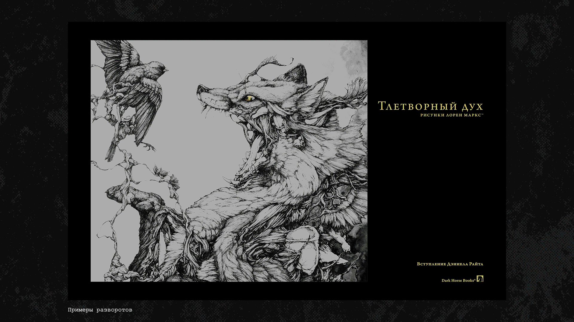 Локализация комиксов (леттеринг, верстка, дизайн) — Изображение №25 — Брендинг, Графика на Dprofile