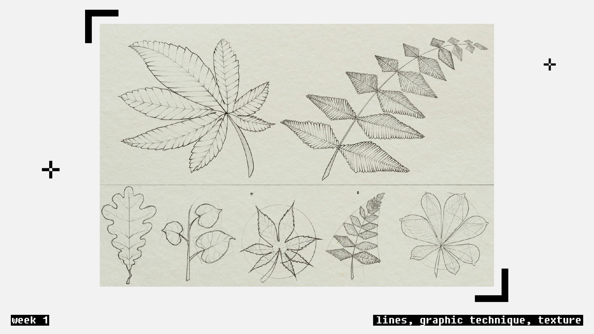 Курс «Скетчинг»|Обучение — Изображение №3 — Иллюстрация на Dprofile