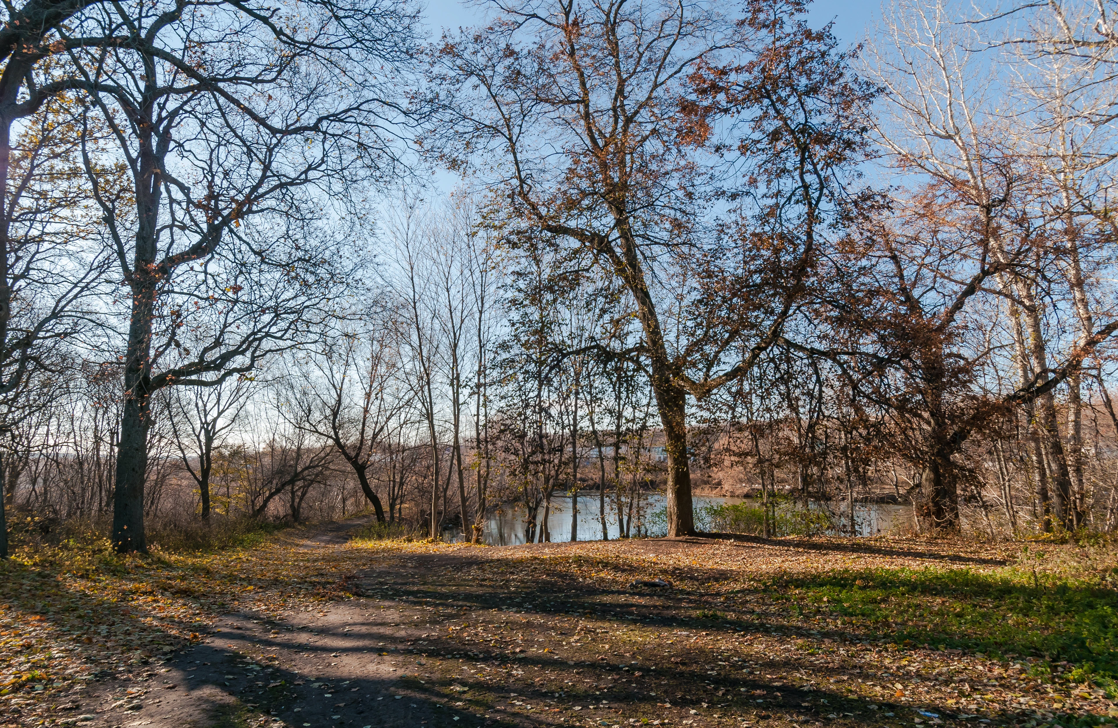 Усадьба Полибино. Концепт — Изображение №7 — Брендинг на Dprofile