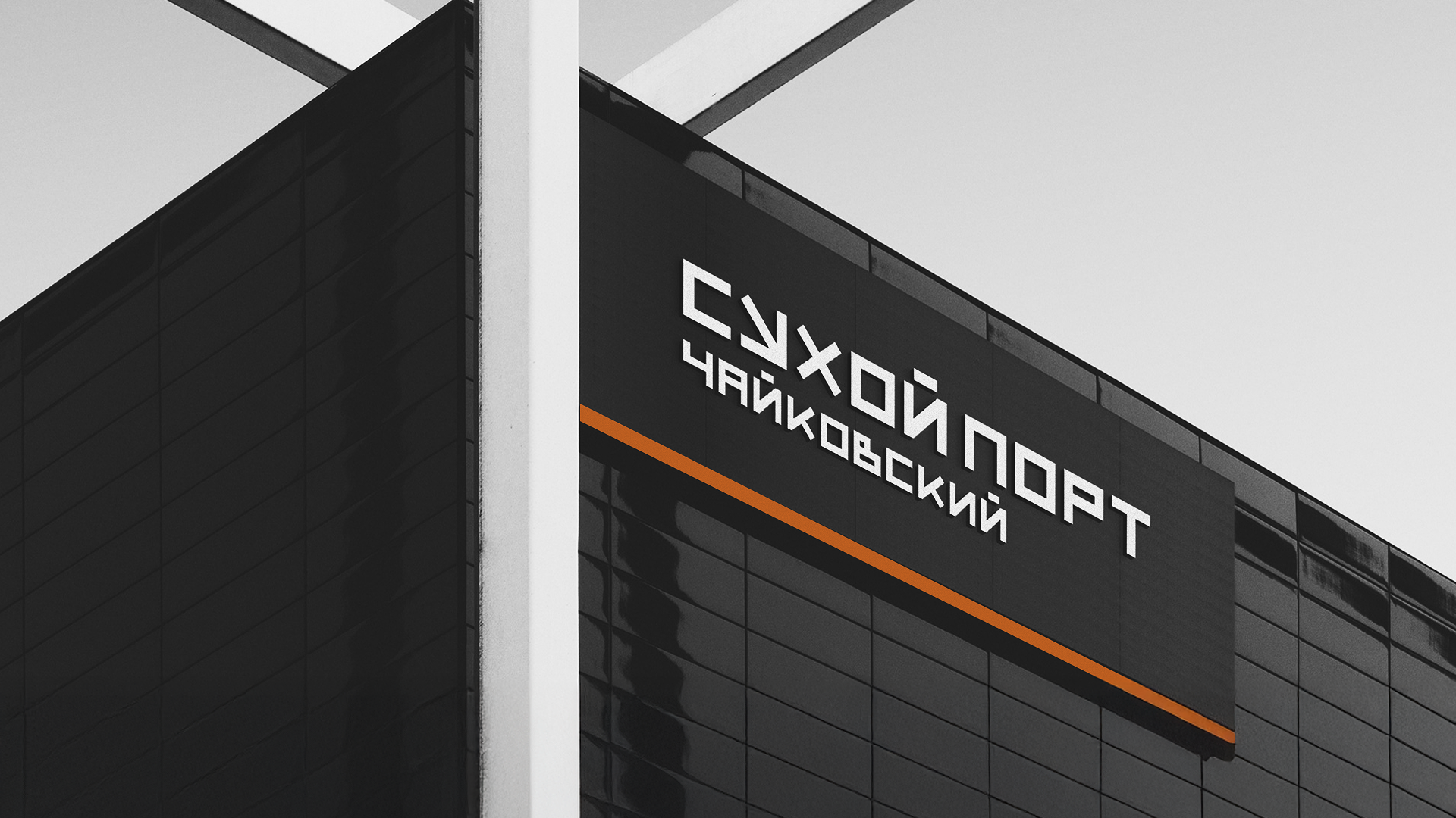 Сухой порт — Изображение №1 — Брендинг, Графика на Dprofile