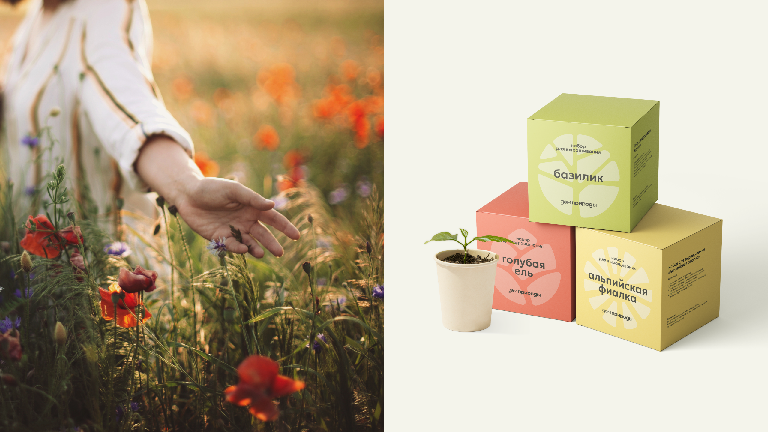 Дом природы — Изображение №7 — Брендинг, Маркетинг на Dprofile