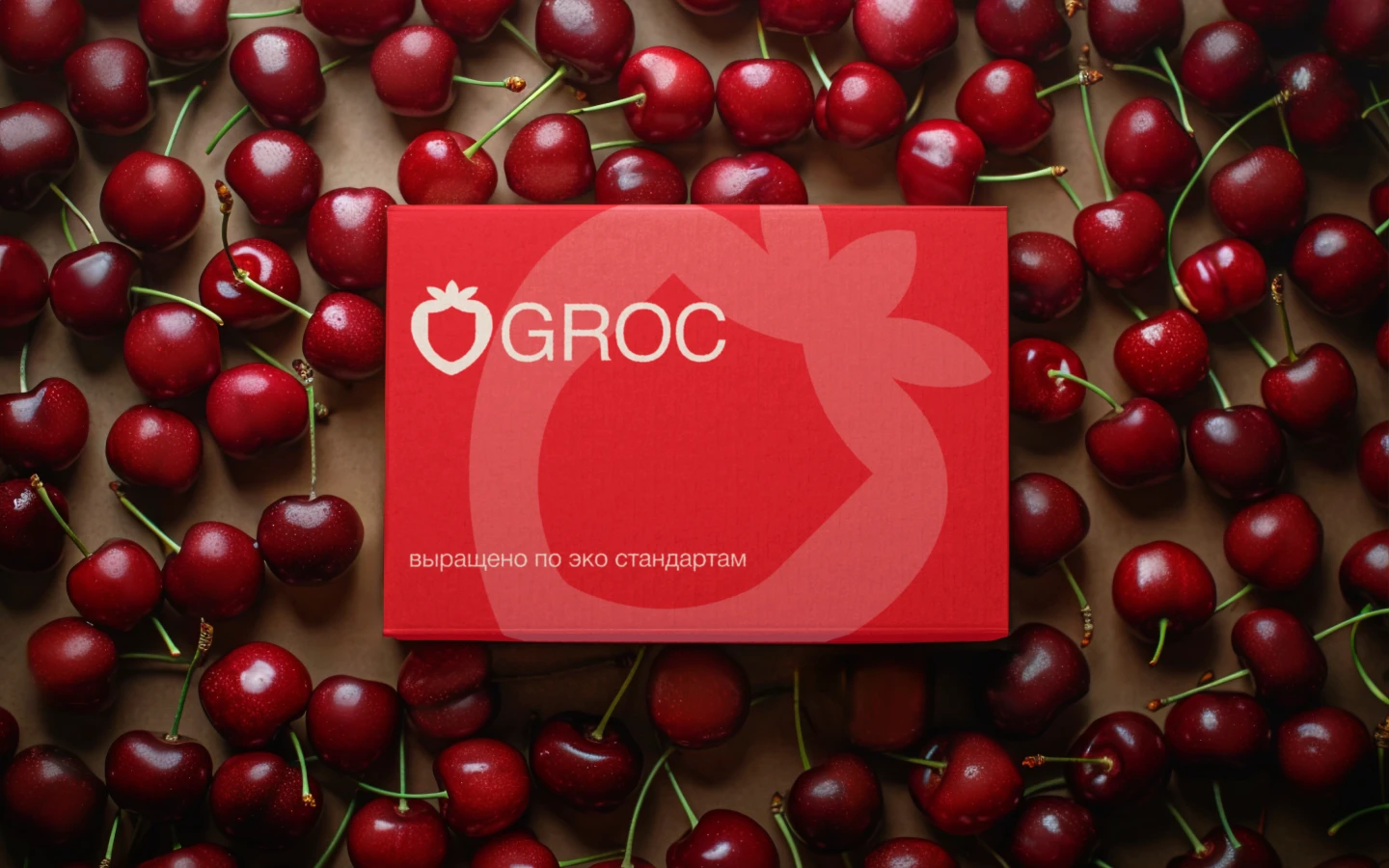 Groc Logo & Branding — Изображение №2 — Брендинг на Dprofile
