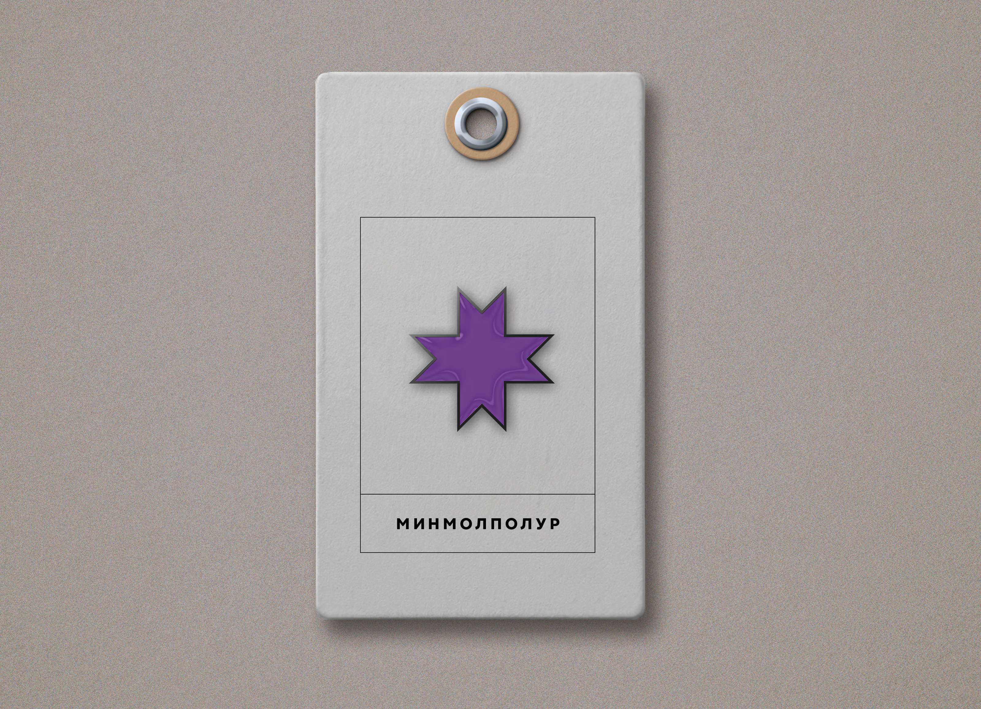 Мерч молодёжи Удмуртии — Изображение №20 — Брендинг, Графика на Dprofile